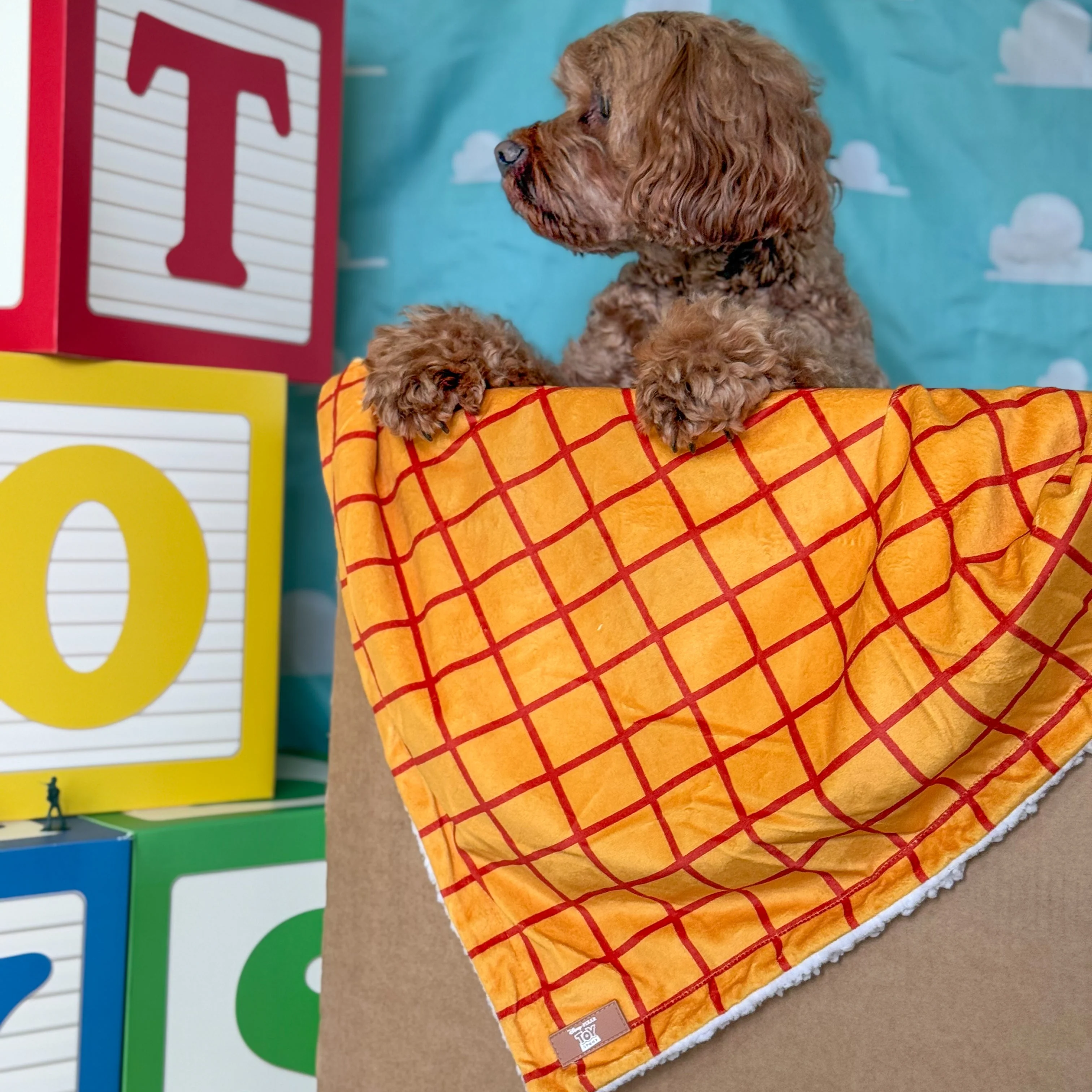 Disney© Dog Blanket - Woody - Image 10