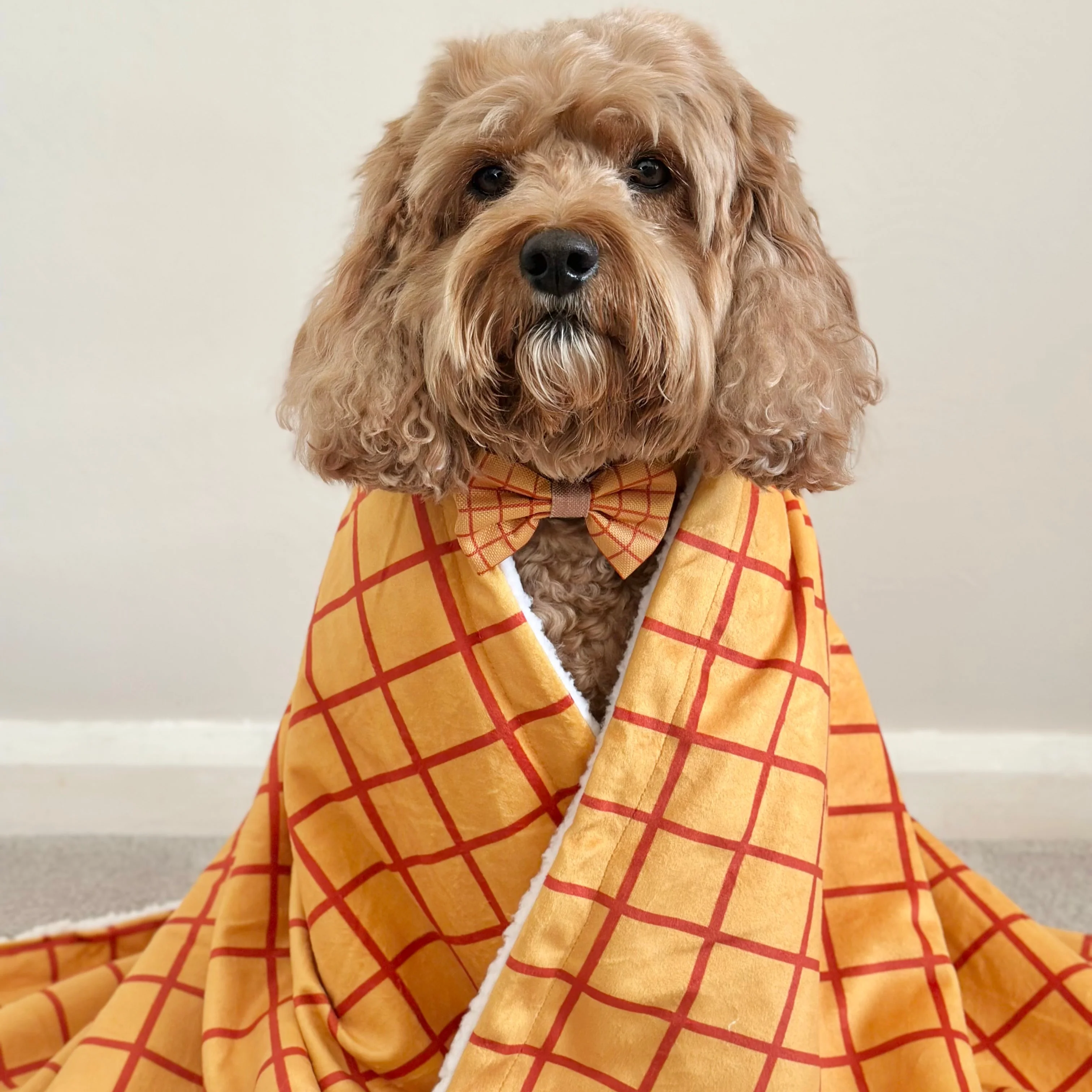 Disney© Dog Blanket - Woody - Image 4