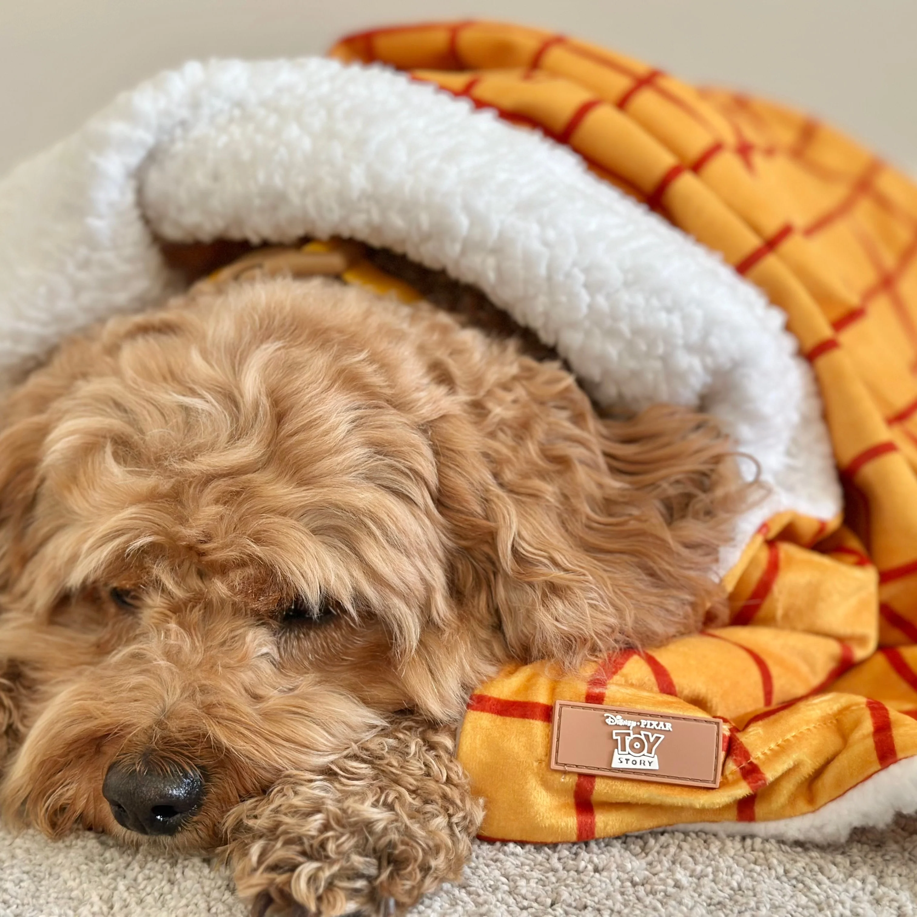 Disney© Dog Blanket - Woody - Image 6