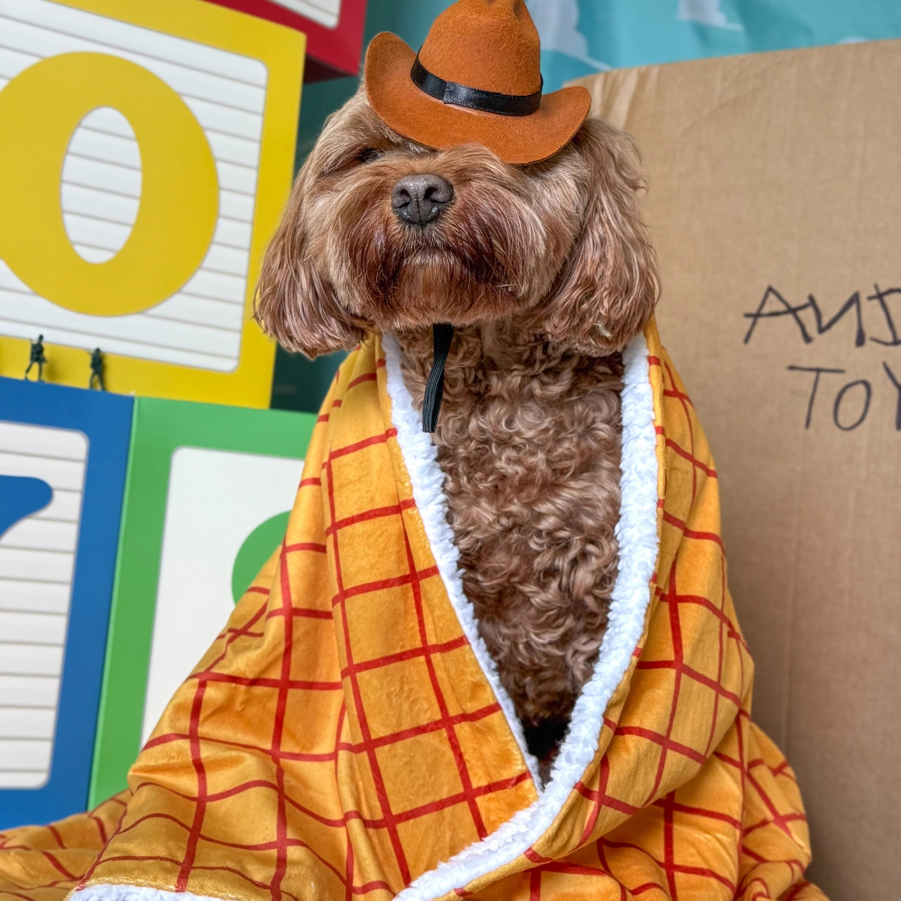 Disney© Dog Blanket - Woody - Image 7