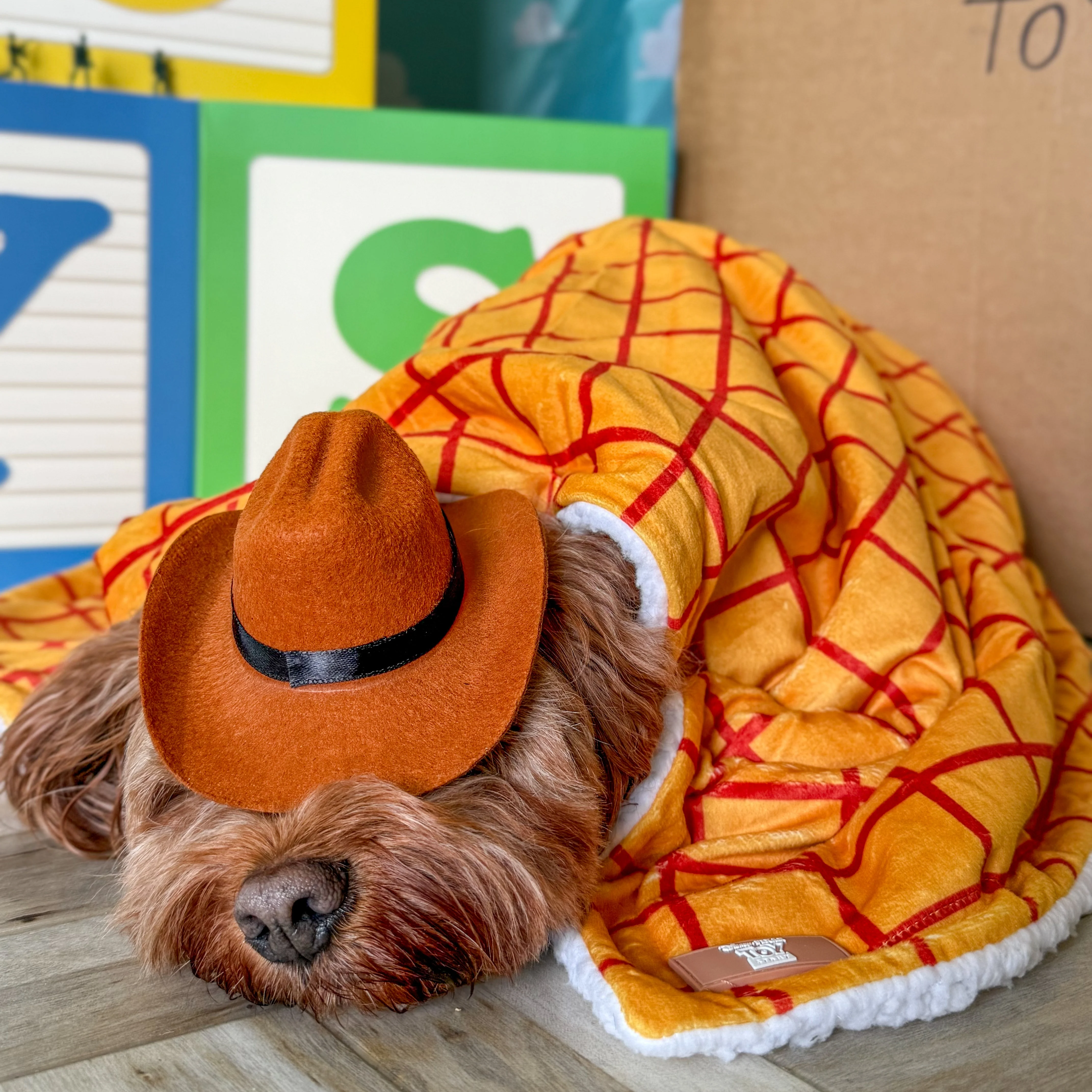 Disney© Dog Blanket - Woody - Image 9