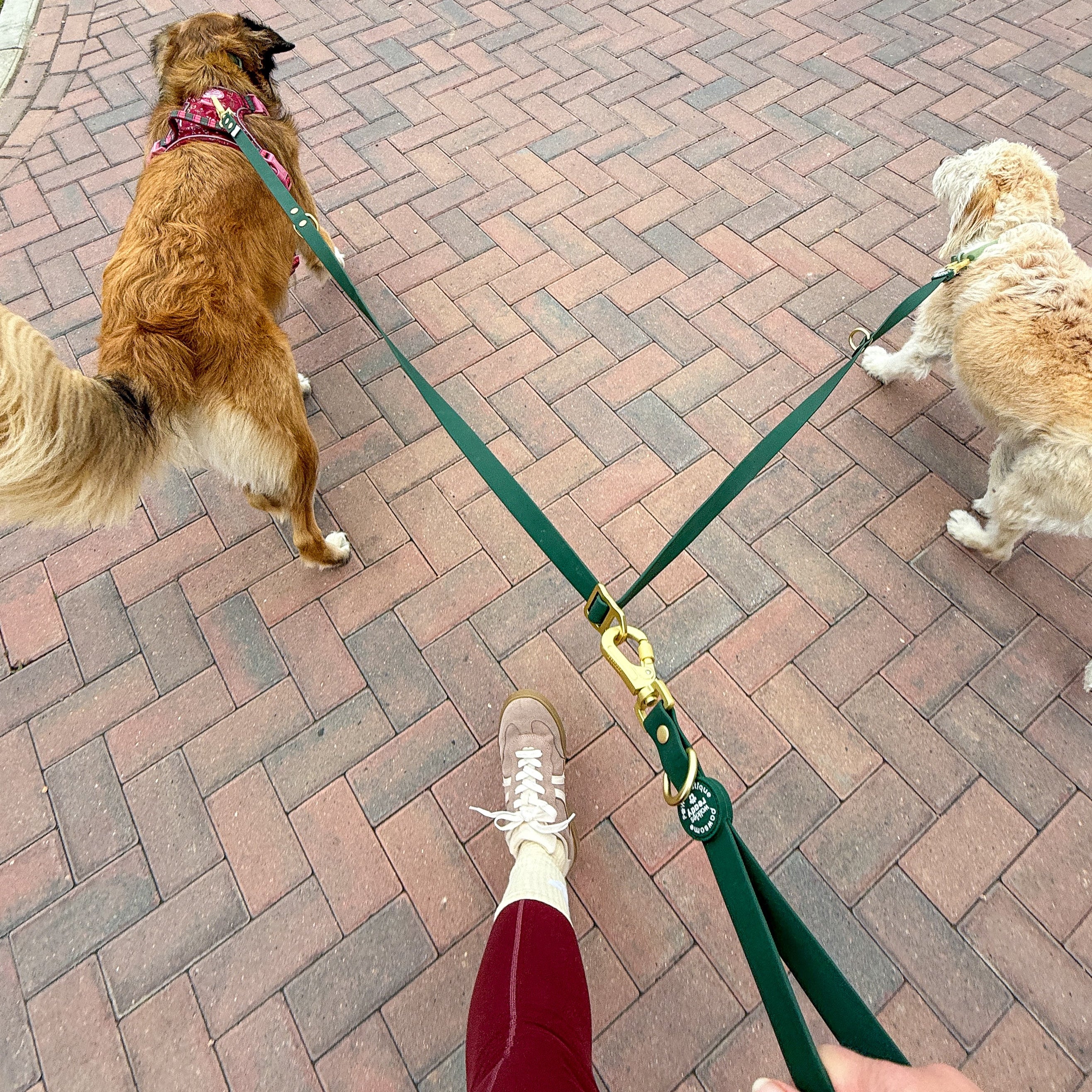 Double Ended Lead - Walkies Ready® Forest Green - Image 3