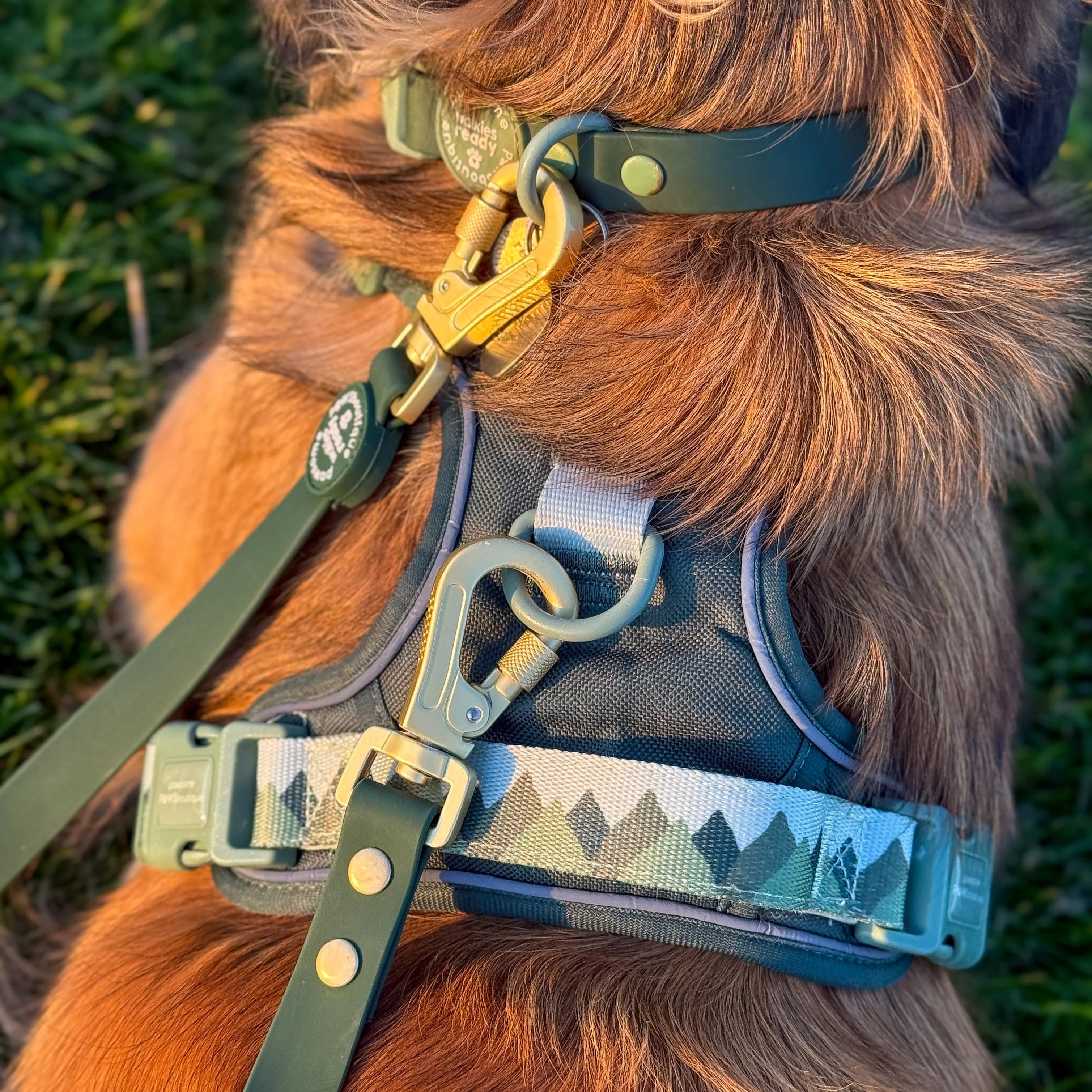 Double Ended Lead - Walkies Ready® Forest Green - Image 9