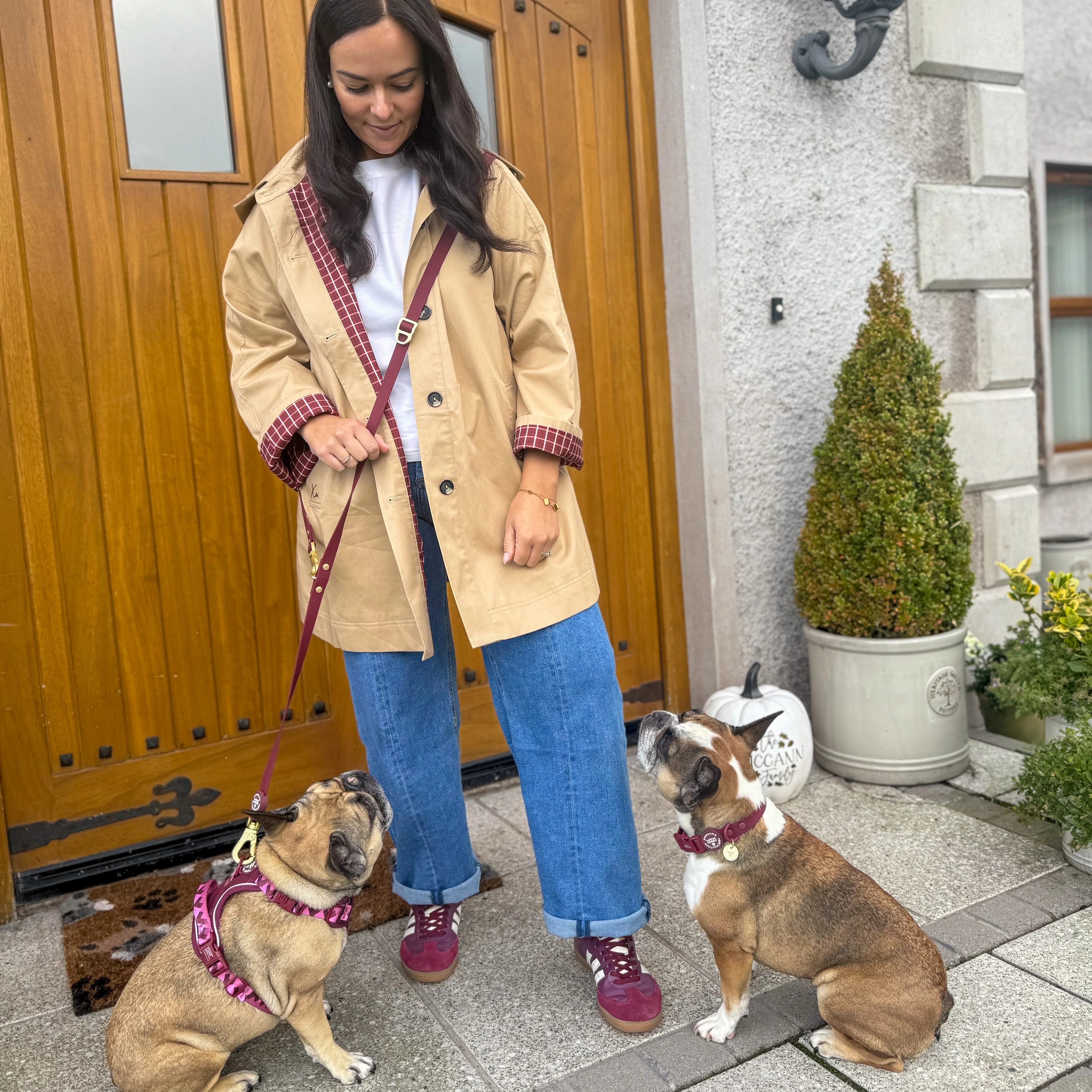 Double Ended Lead - Walkies Ready® Mulberry - Image 10