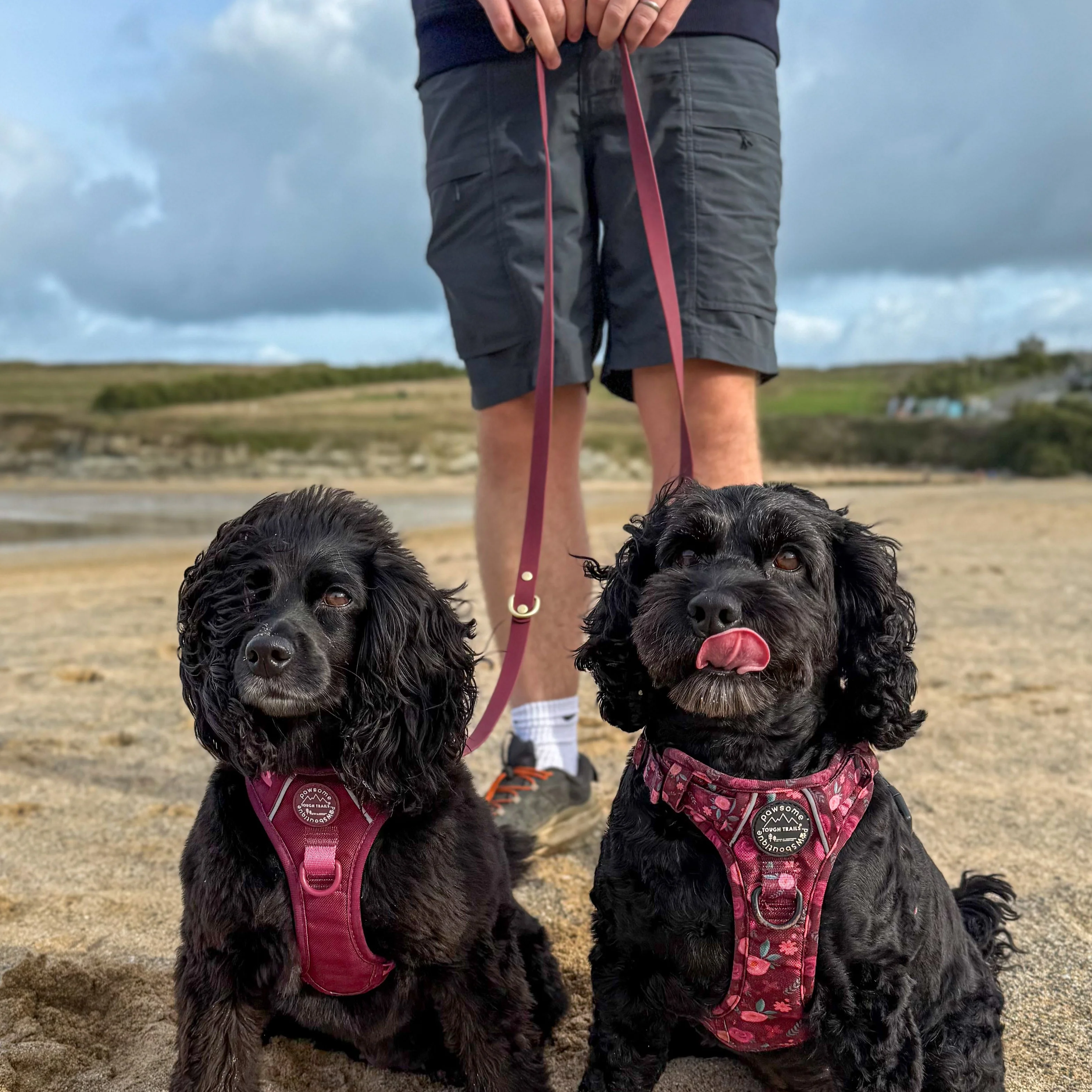 Double Ended Lead - Walkies Ready® Mulberry - Image 11