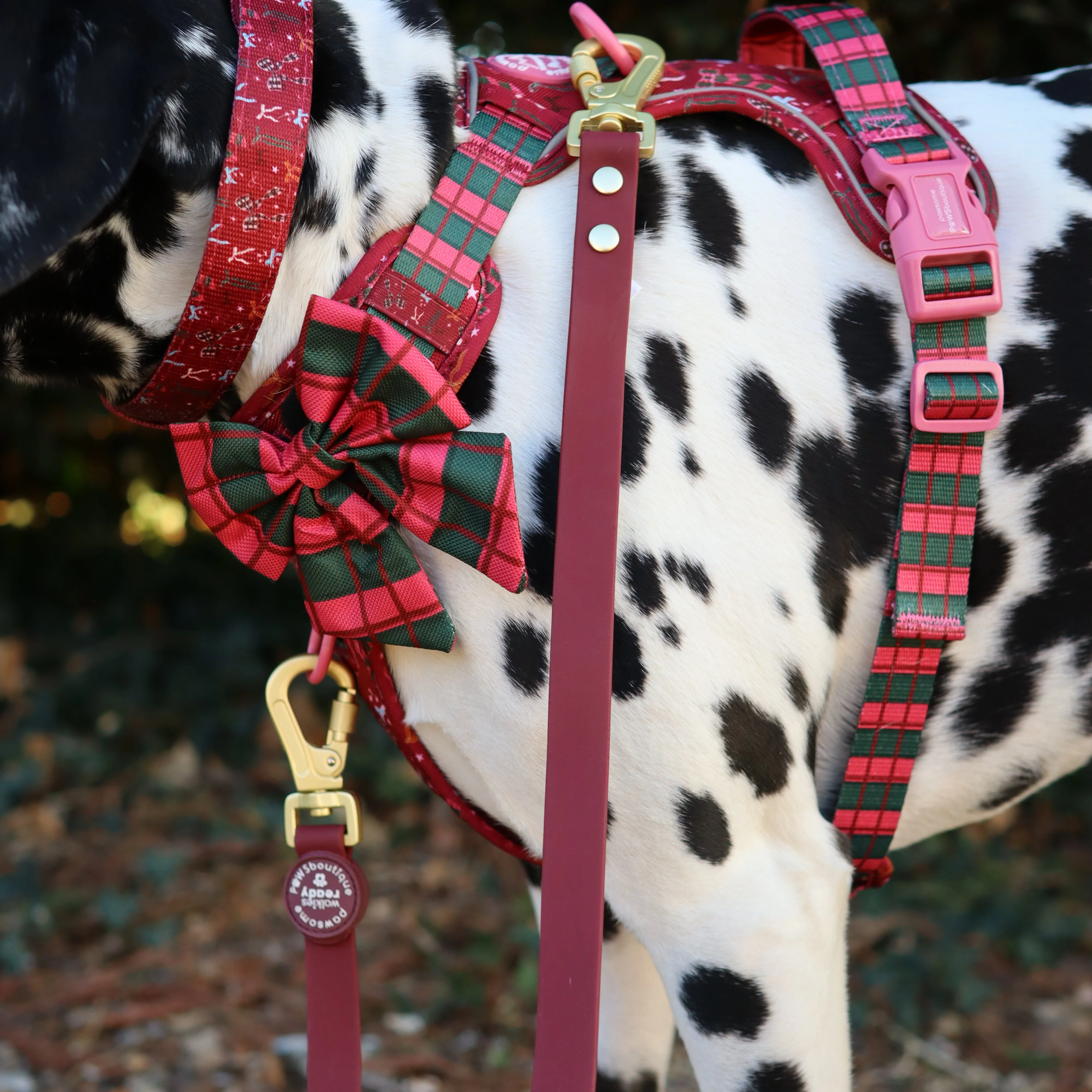 Double Ended Lead - Walkies Ready® Mulberry - Image 12