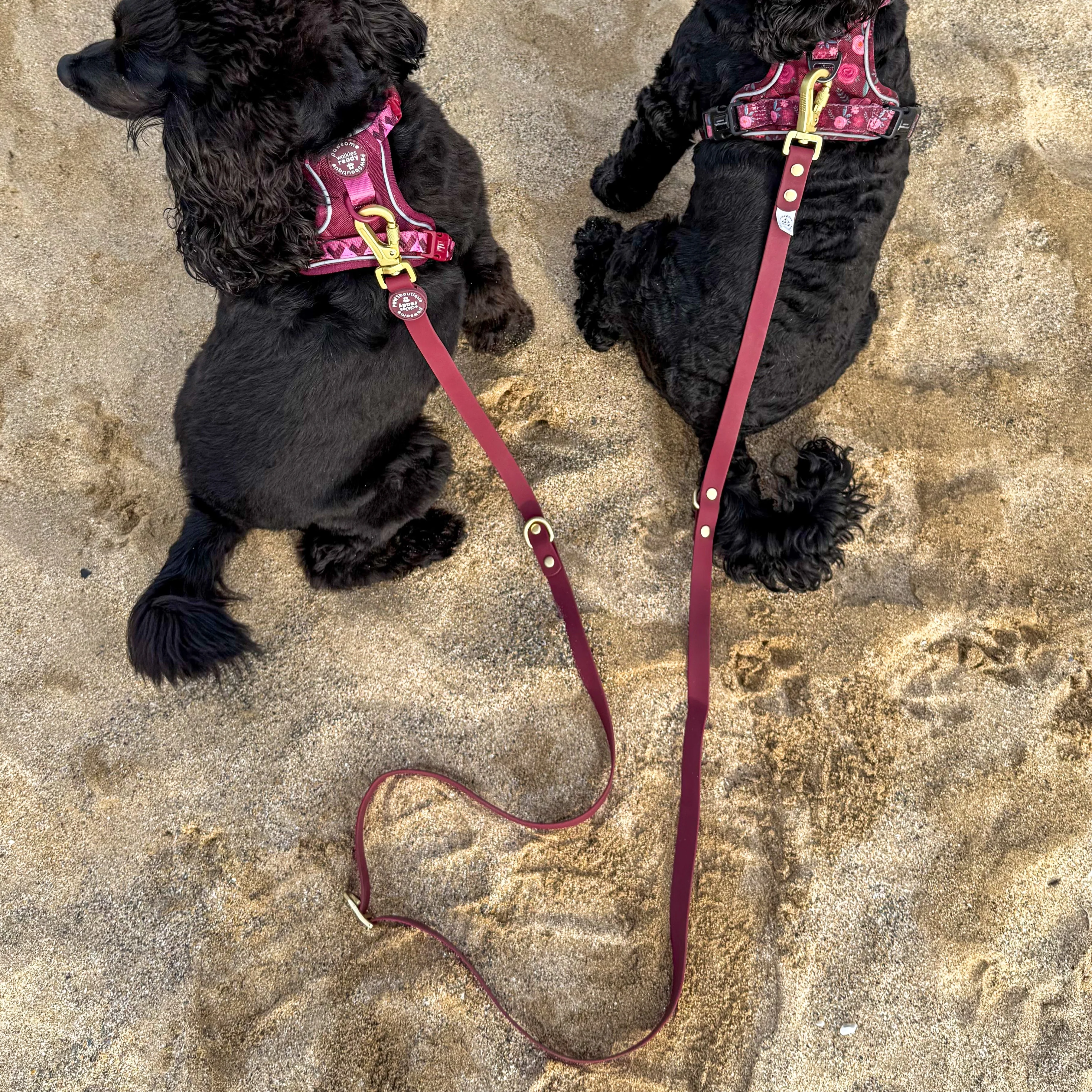 Double Ended Lead - Walkies Ready® Mulberry - Image 3