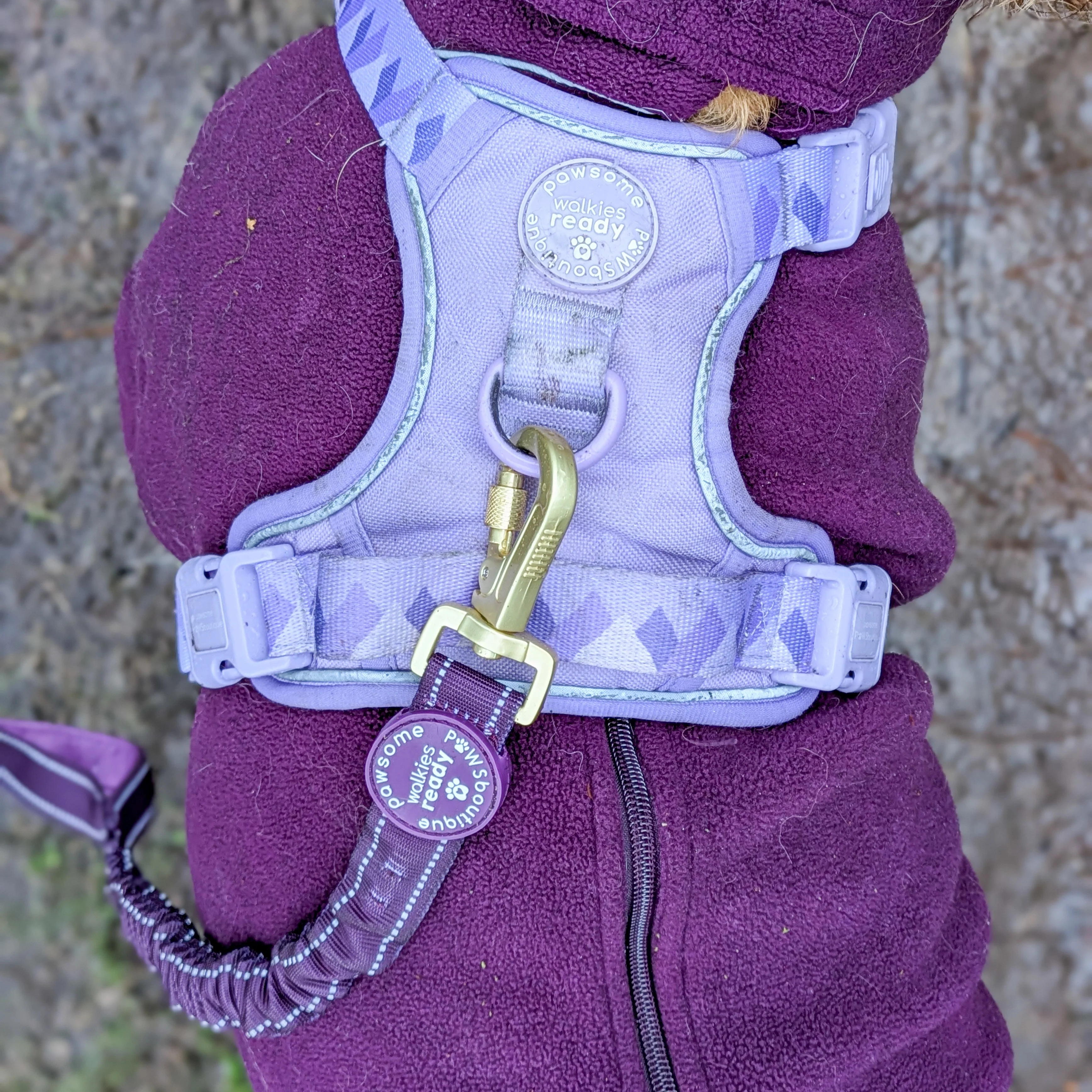 Handsfree Lead - Walkies Ready® Plum - Image 12