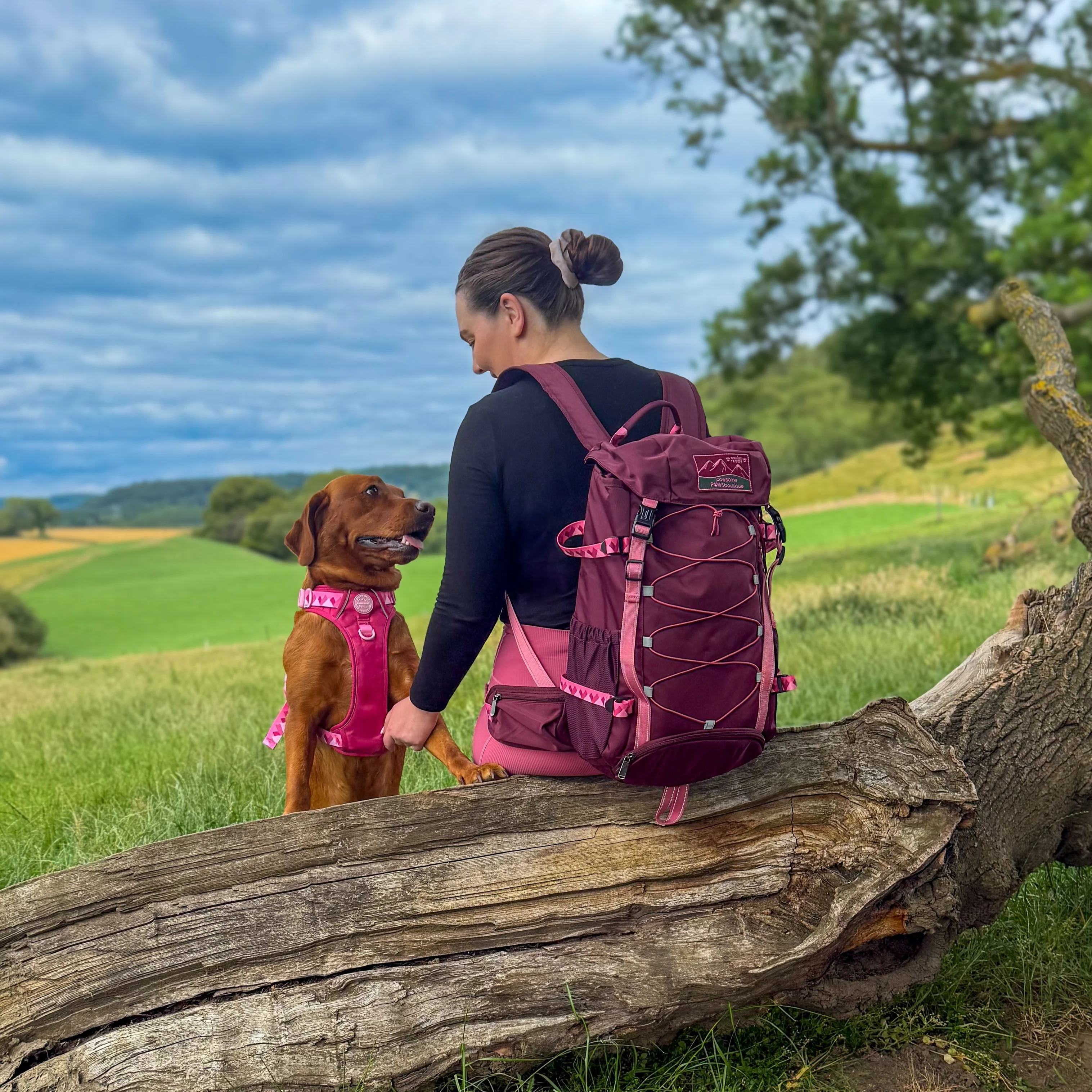 Walkies Ready® Hiking Backpack - Image 26