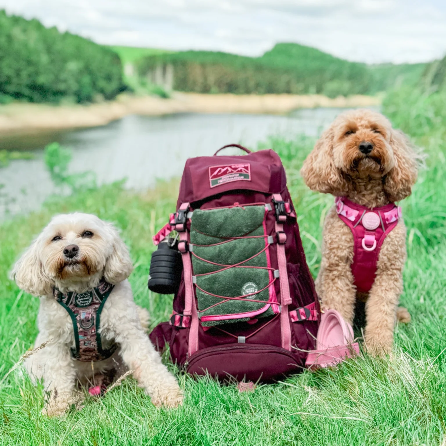 Walkies Ready® Hiking Backpack - Image 3