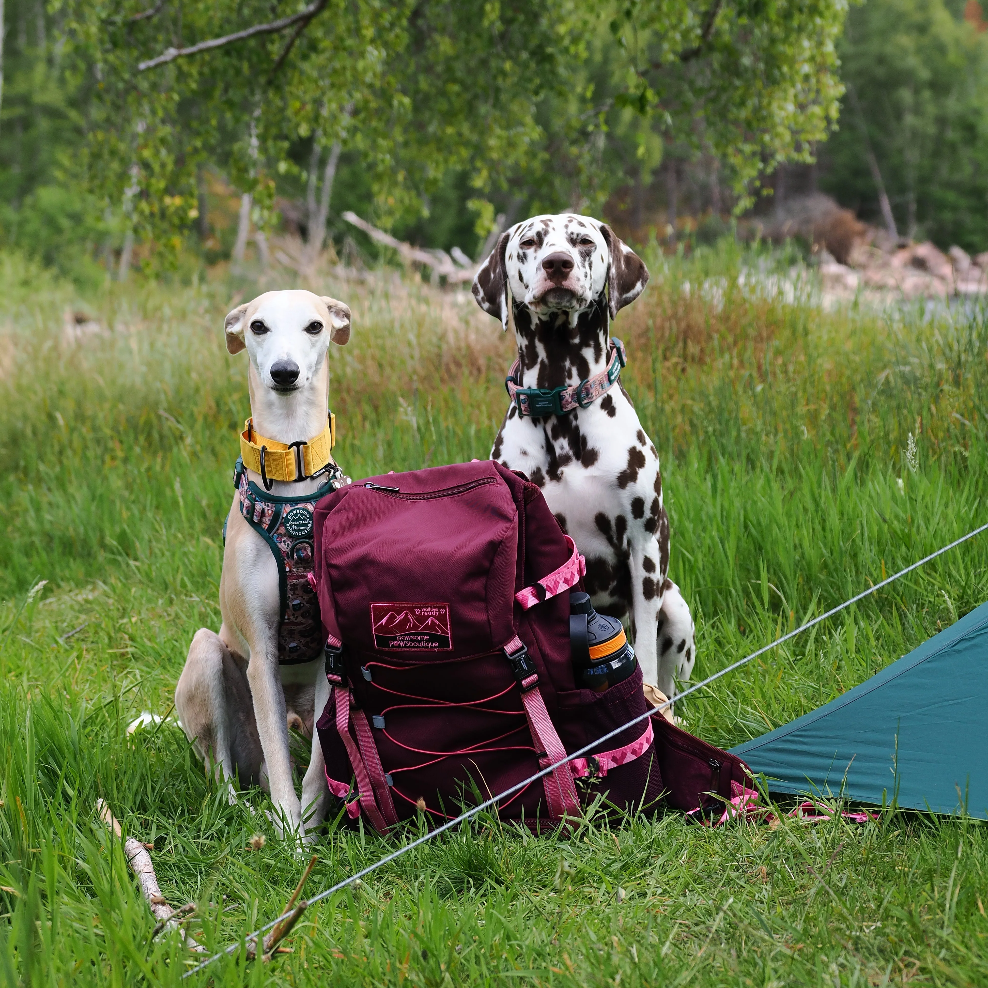 Walkies Ready® Hiking Backpack - Image 32