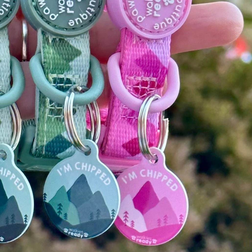 ID Tag - Walkies Ready® - Raspberry Pink - Image 3