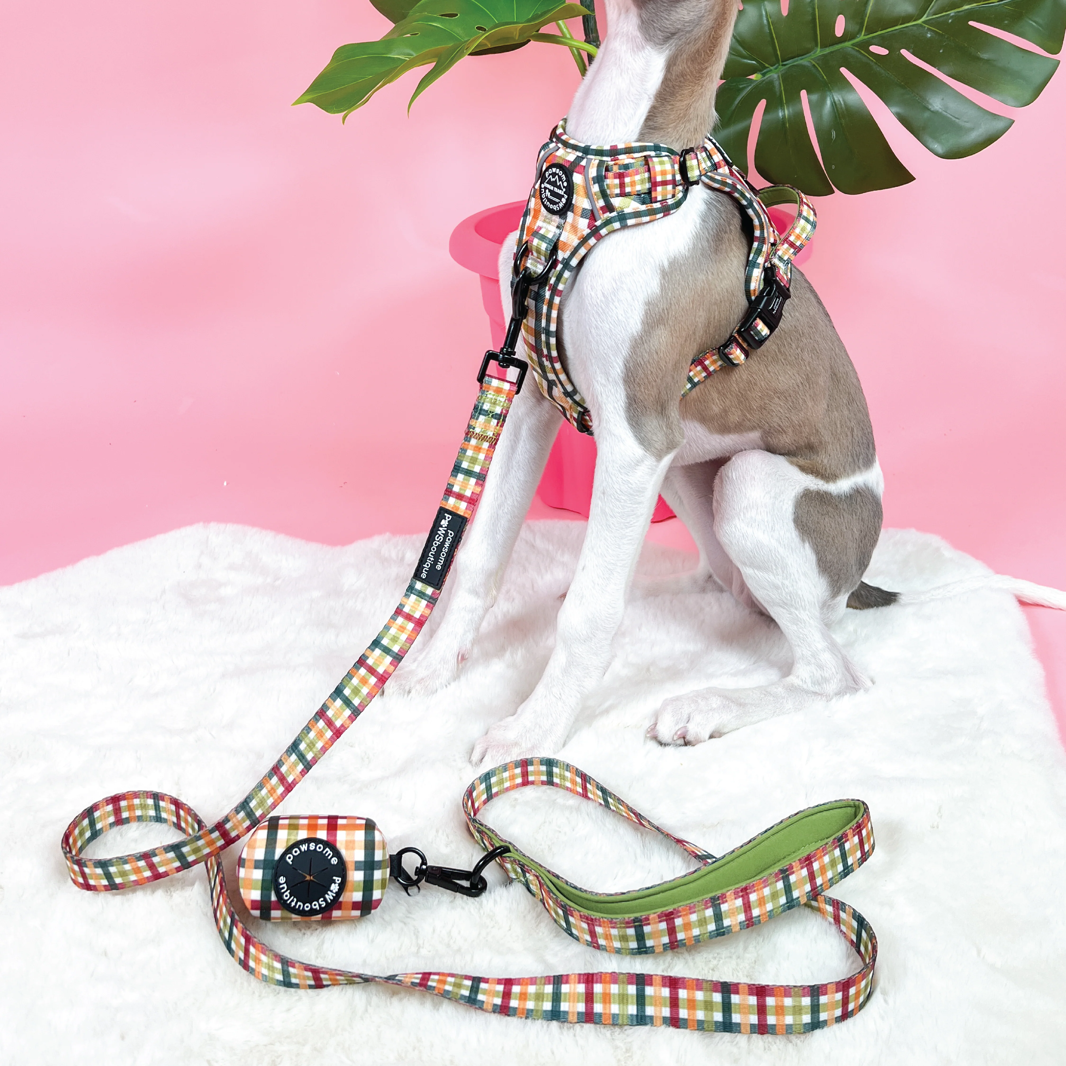Lead - Plaid Pup - Image 5