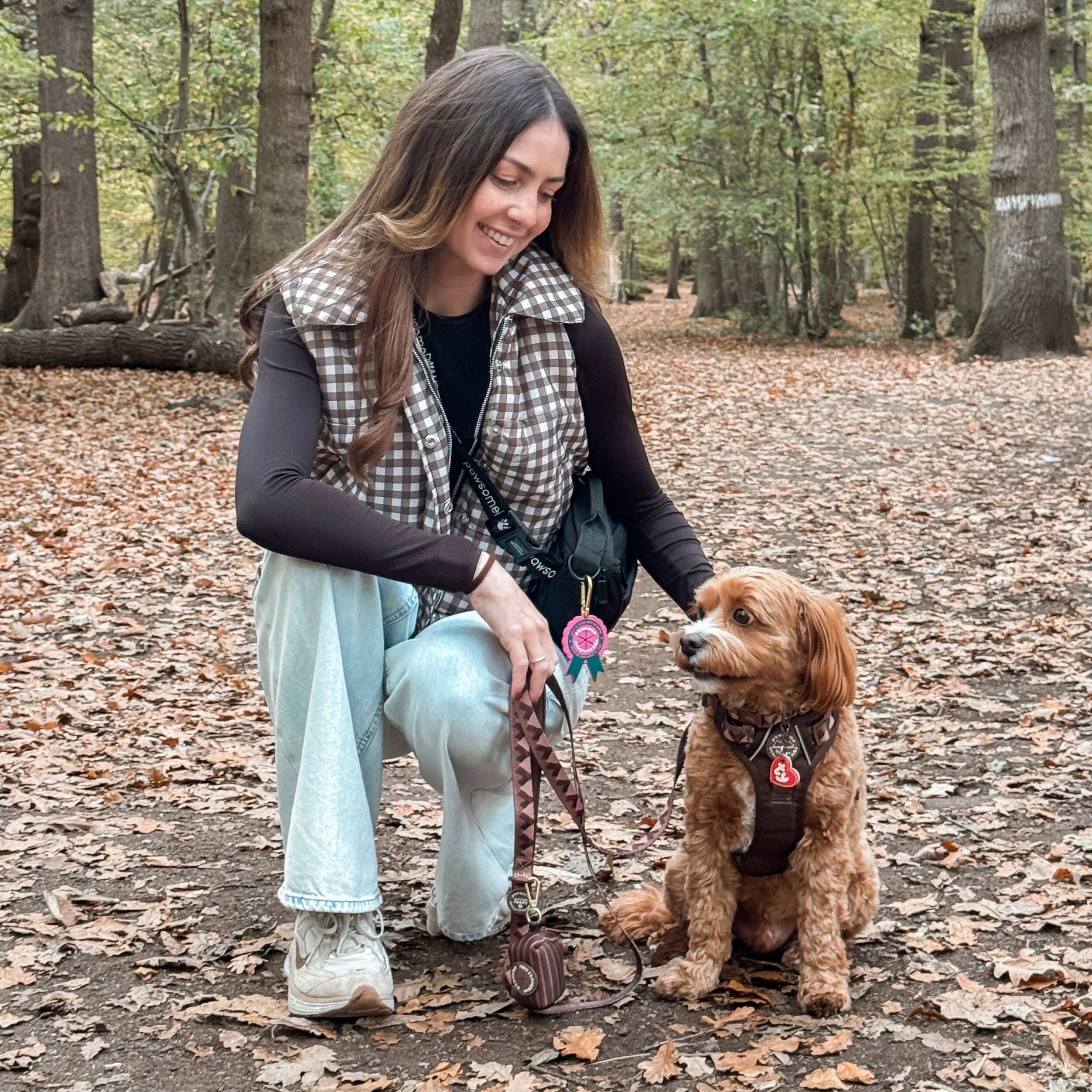 Lead - Walkies Ready® Chocolate Brown - Image 14