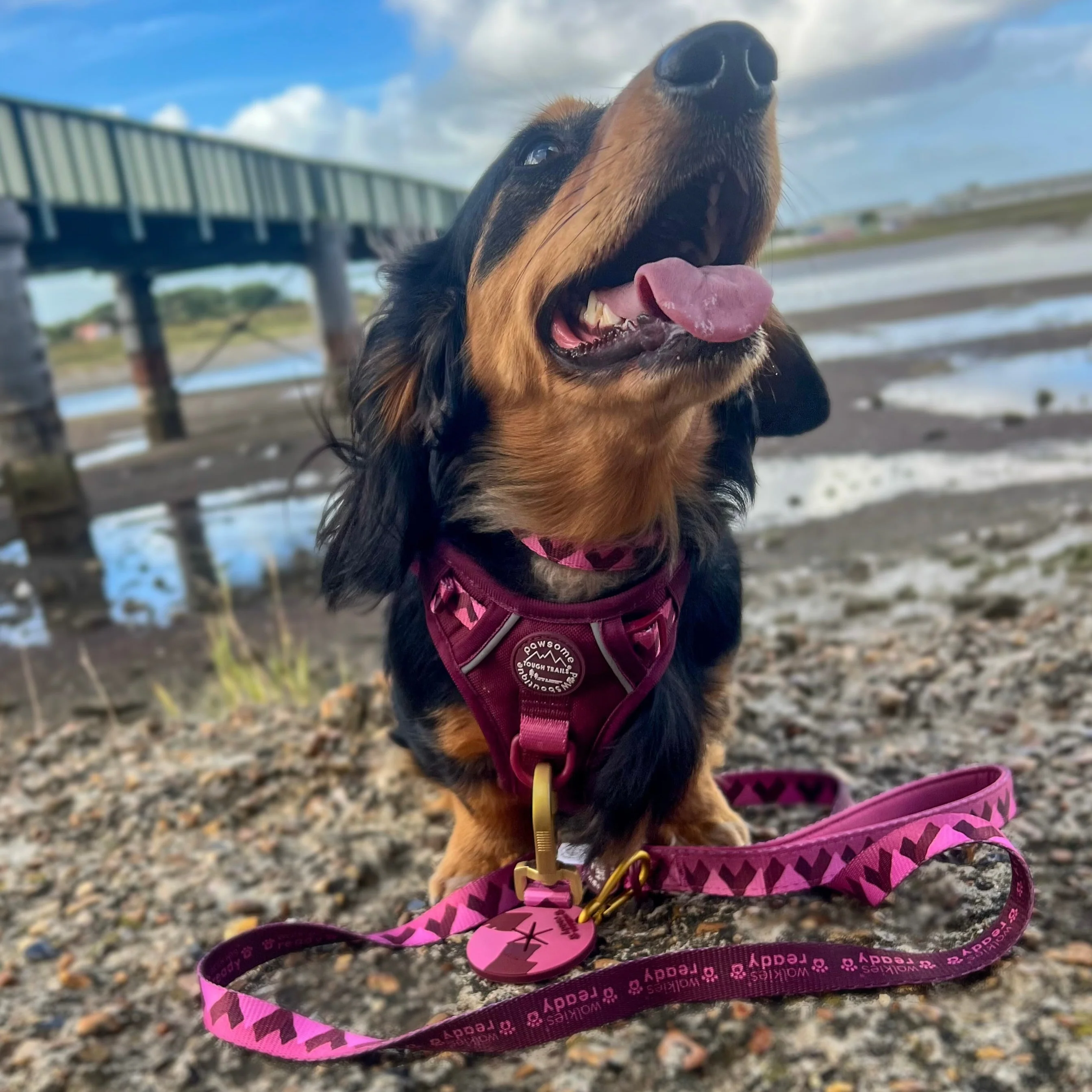 Lead - Walkies Ready® Mulberry - Image 10