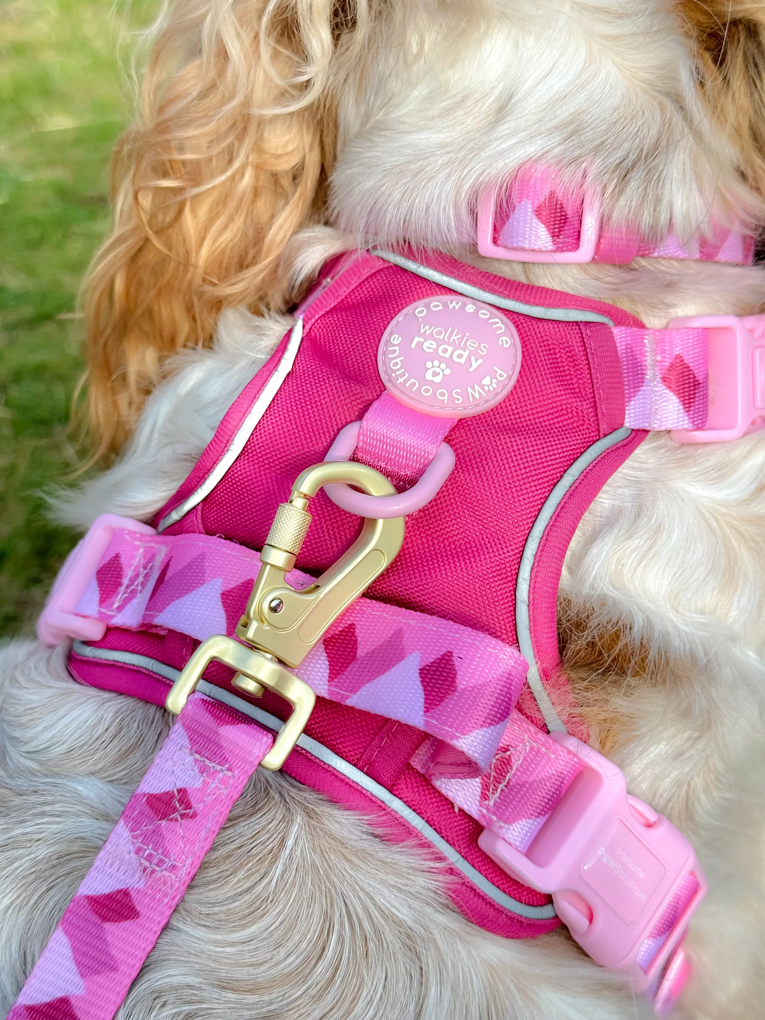 Lead - Walkies Ready® Raspberry Pink - Image 5
