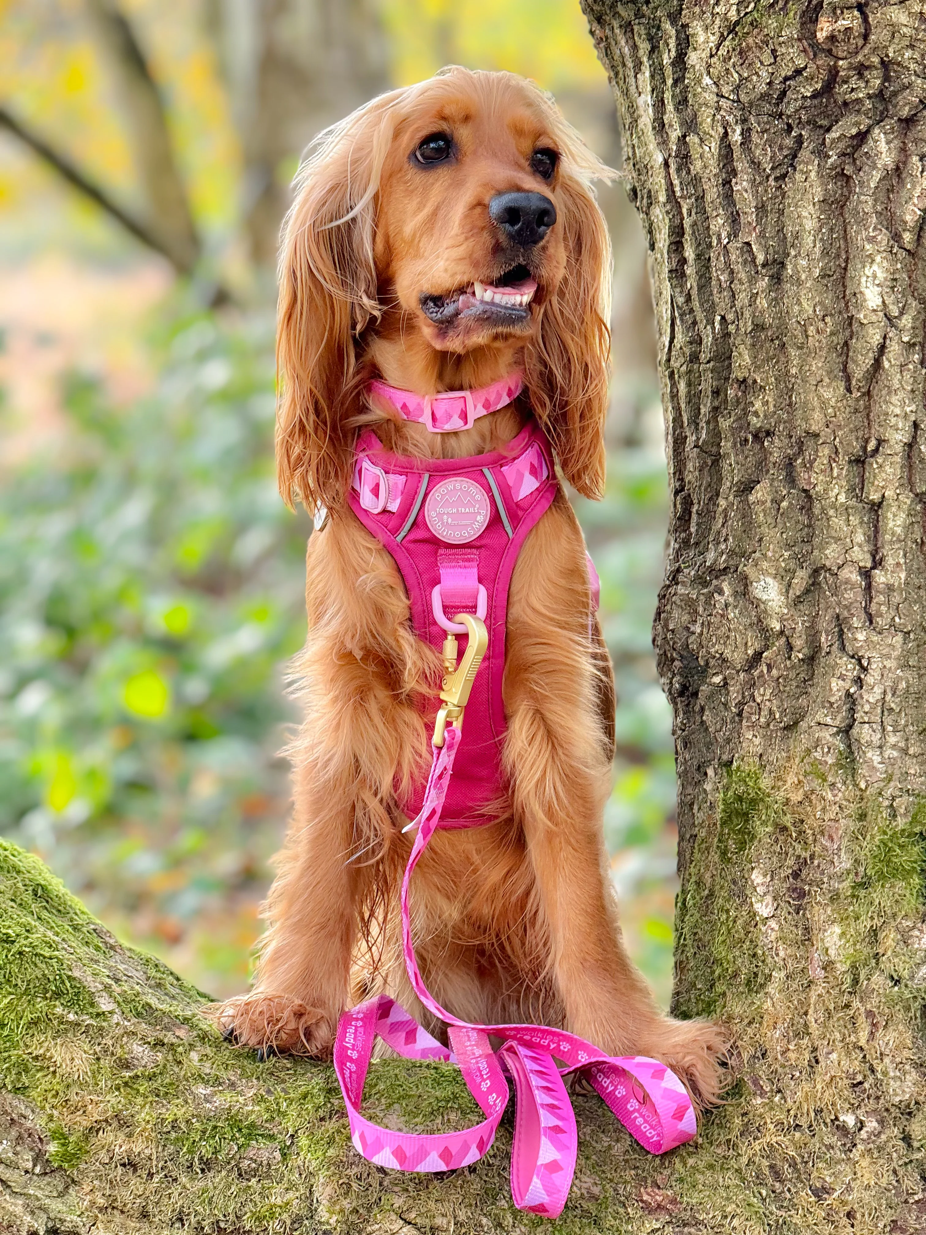 Lead - Walkies Ready® Raspberry Pink - Image 6