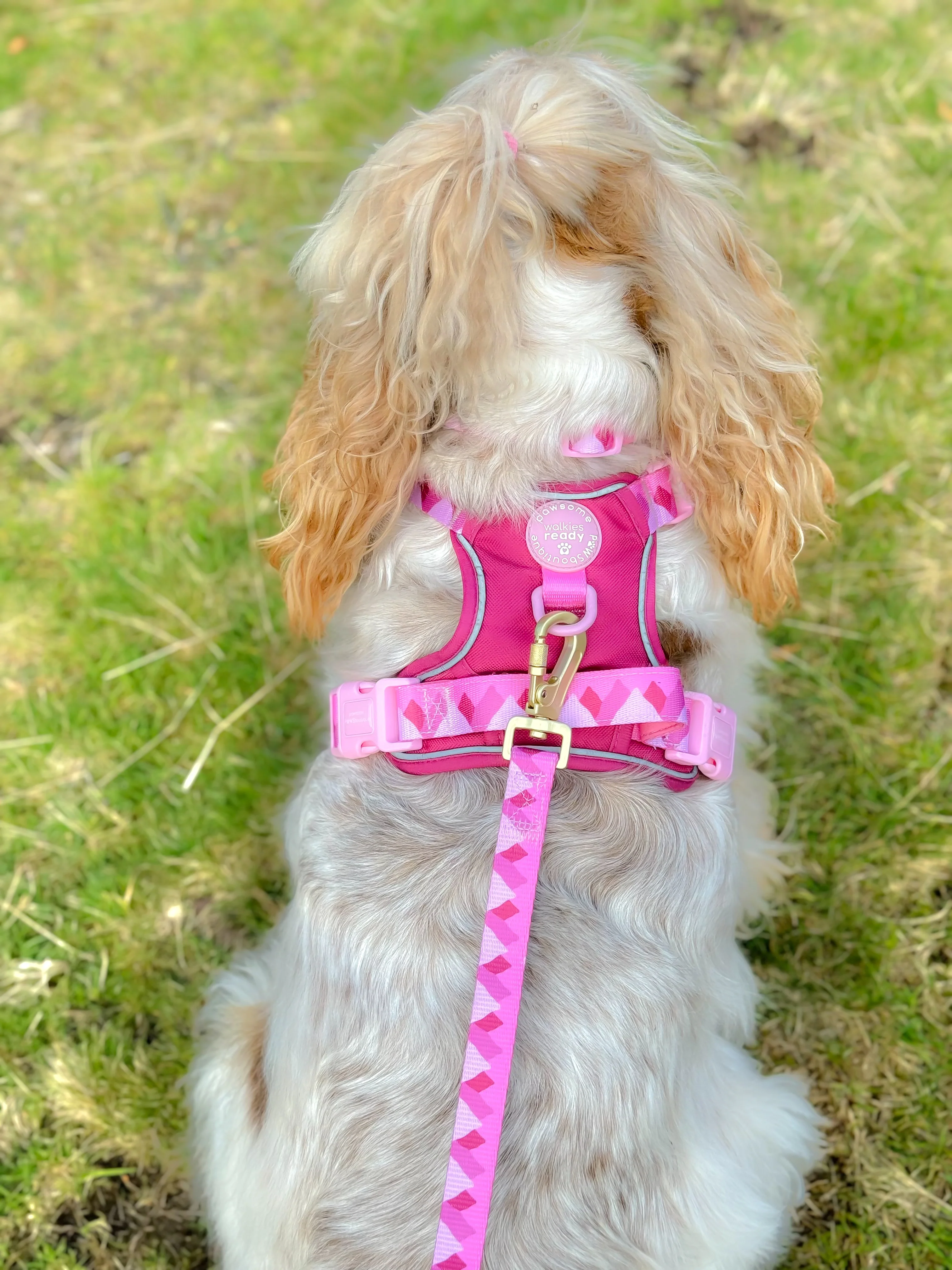 Lead - Walkies Ready® Raspberry Pink - Image 7
