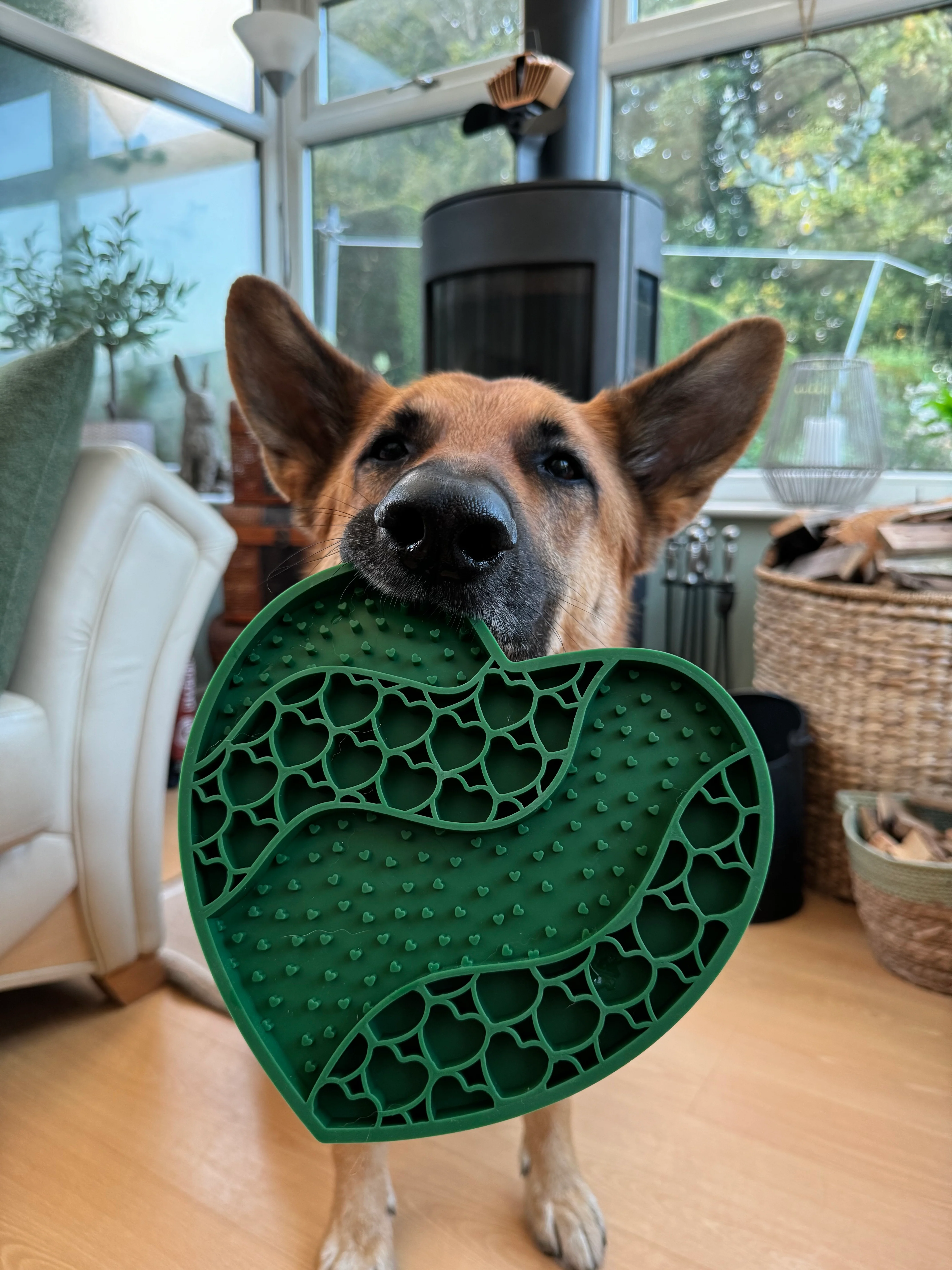 Lick Mat - Forest Green - Image 14