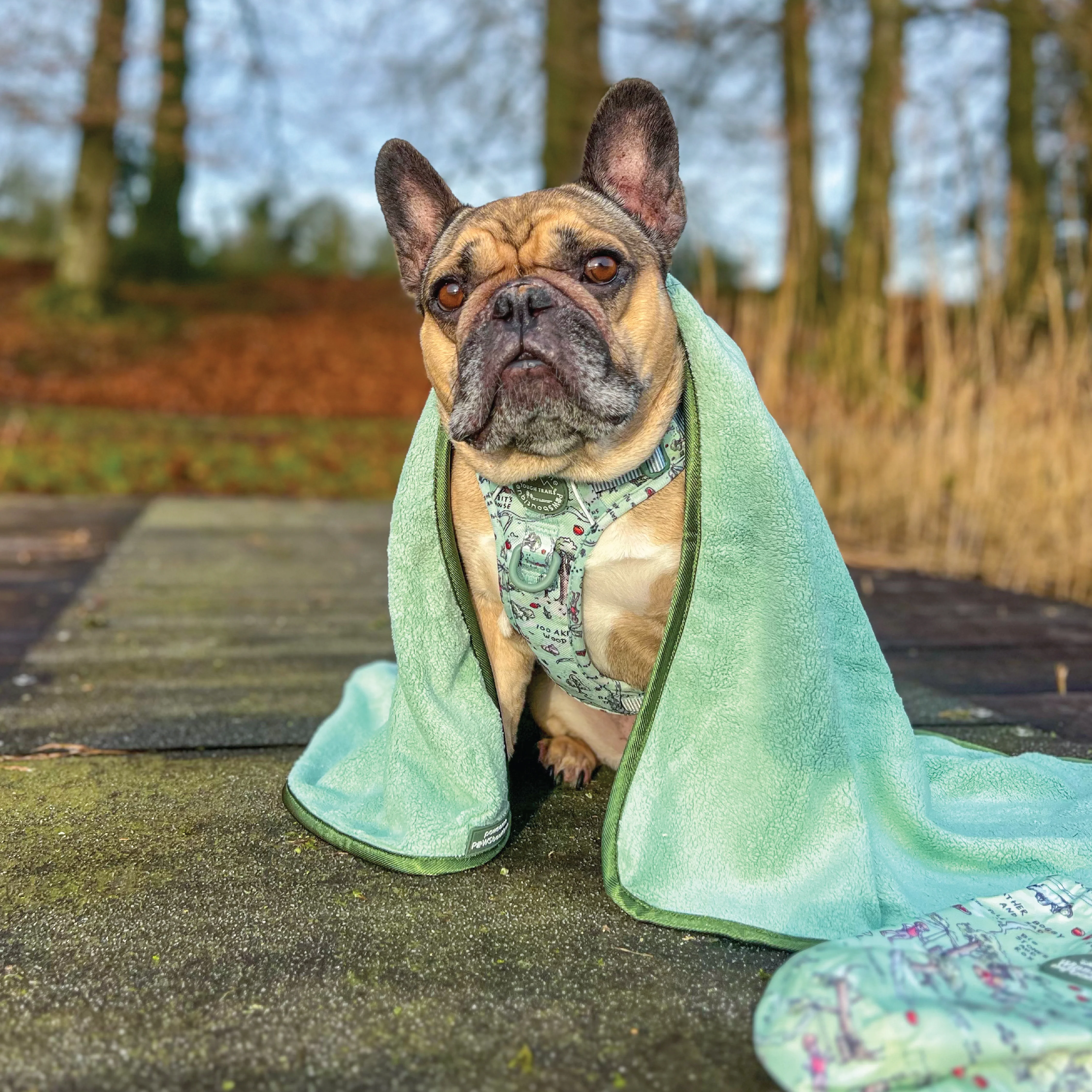 Disney© Microfibre Towel - 100 Aker Wood - Image 5