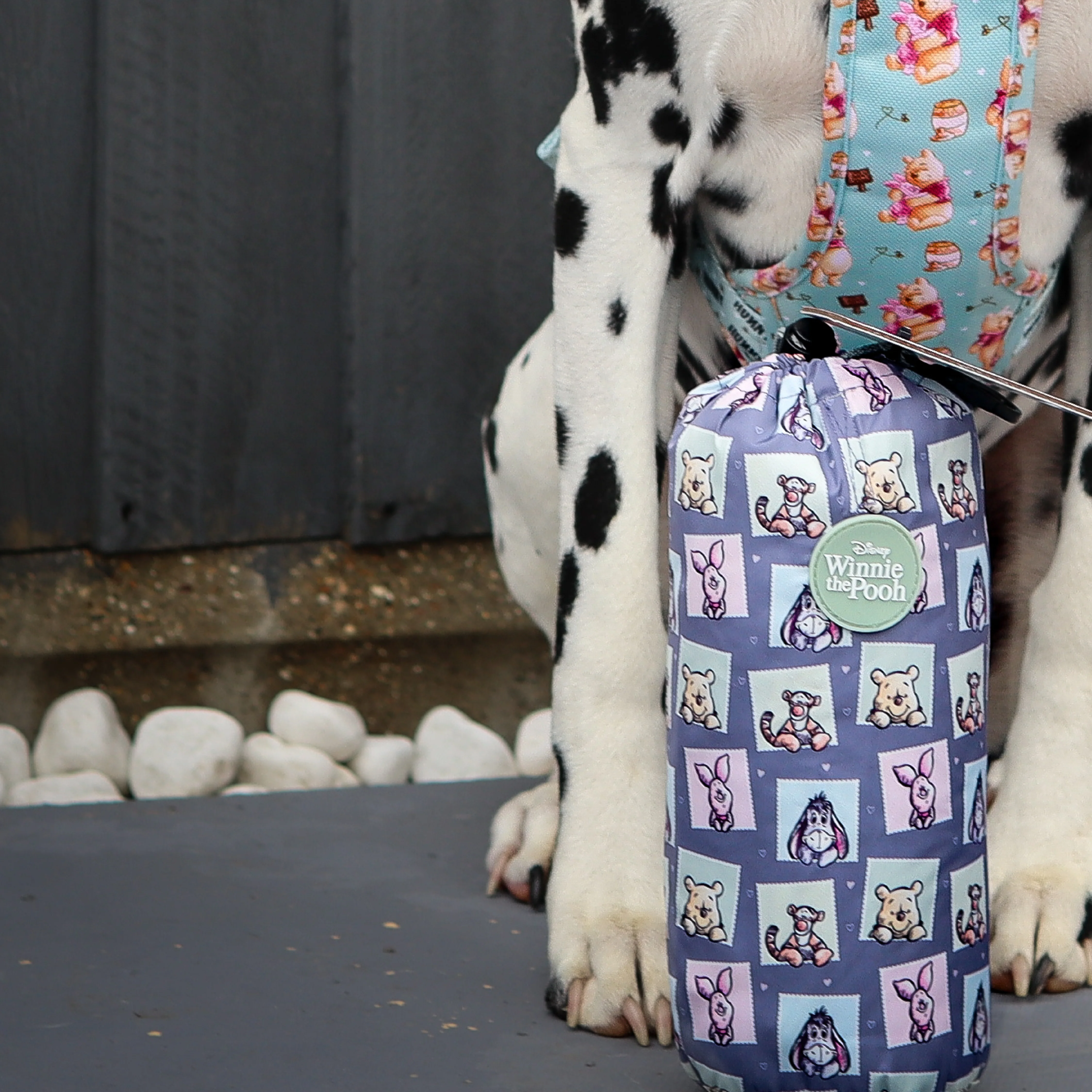 Disney© Microfibre Towel - Winnie + Friends - Image 5