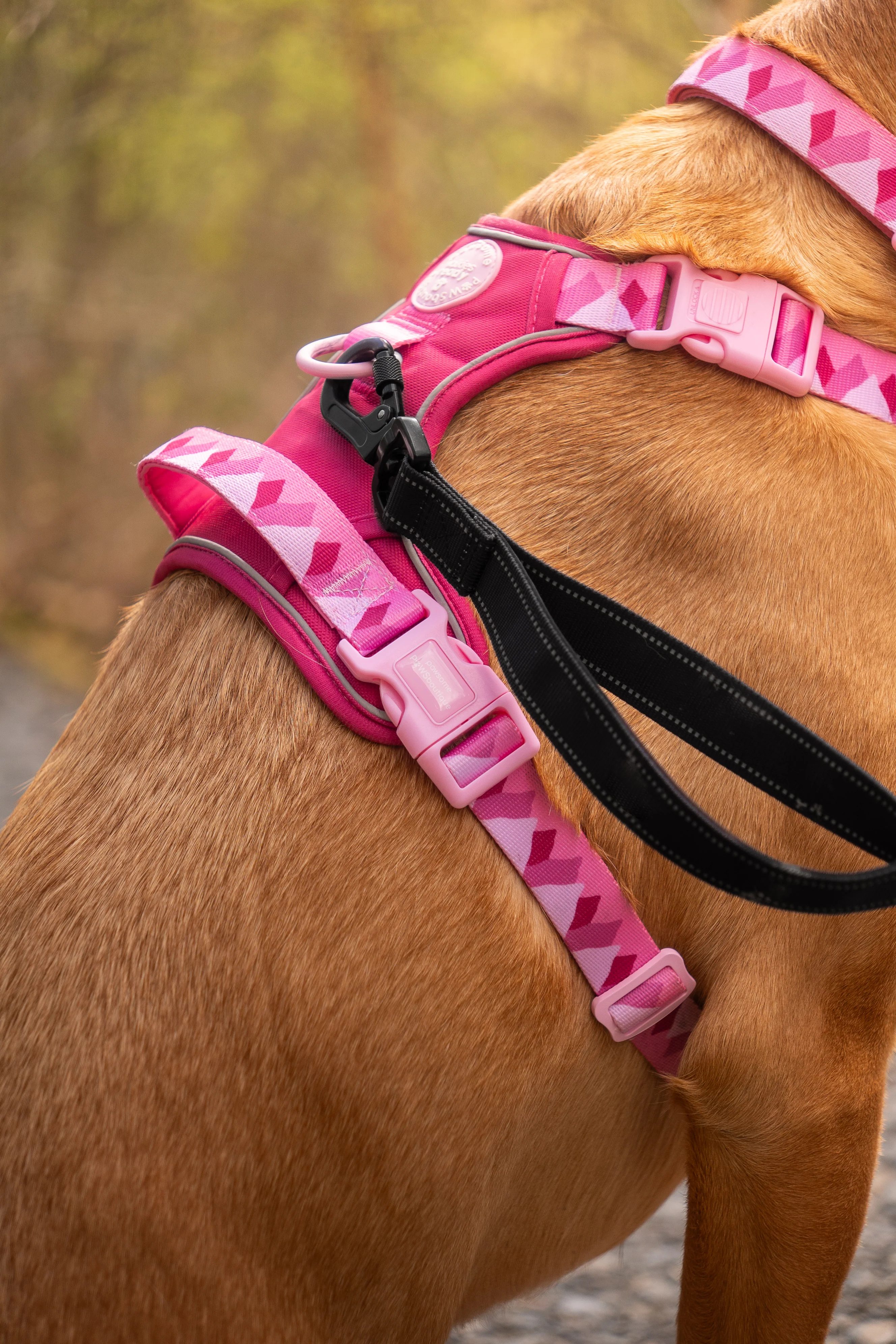 Handsfree Lead - Walkies Ready® Black - Image 10