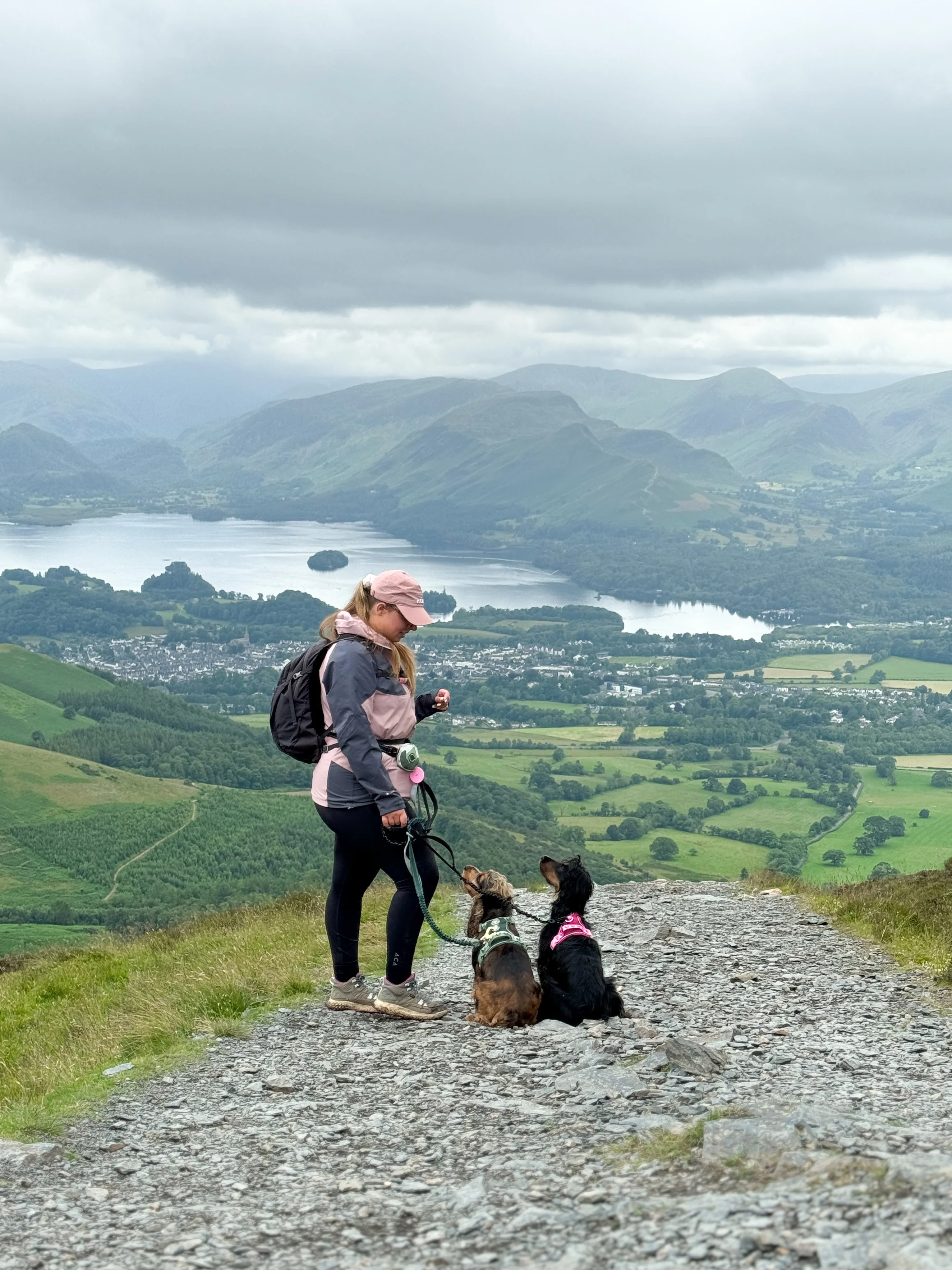 Handsfree Lead - Walkies Ready® Black - Image 4