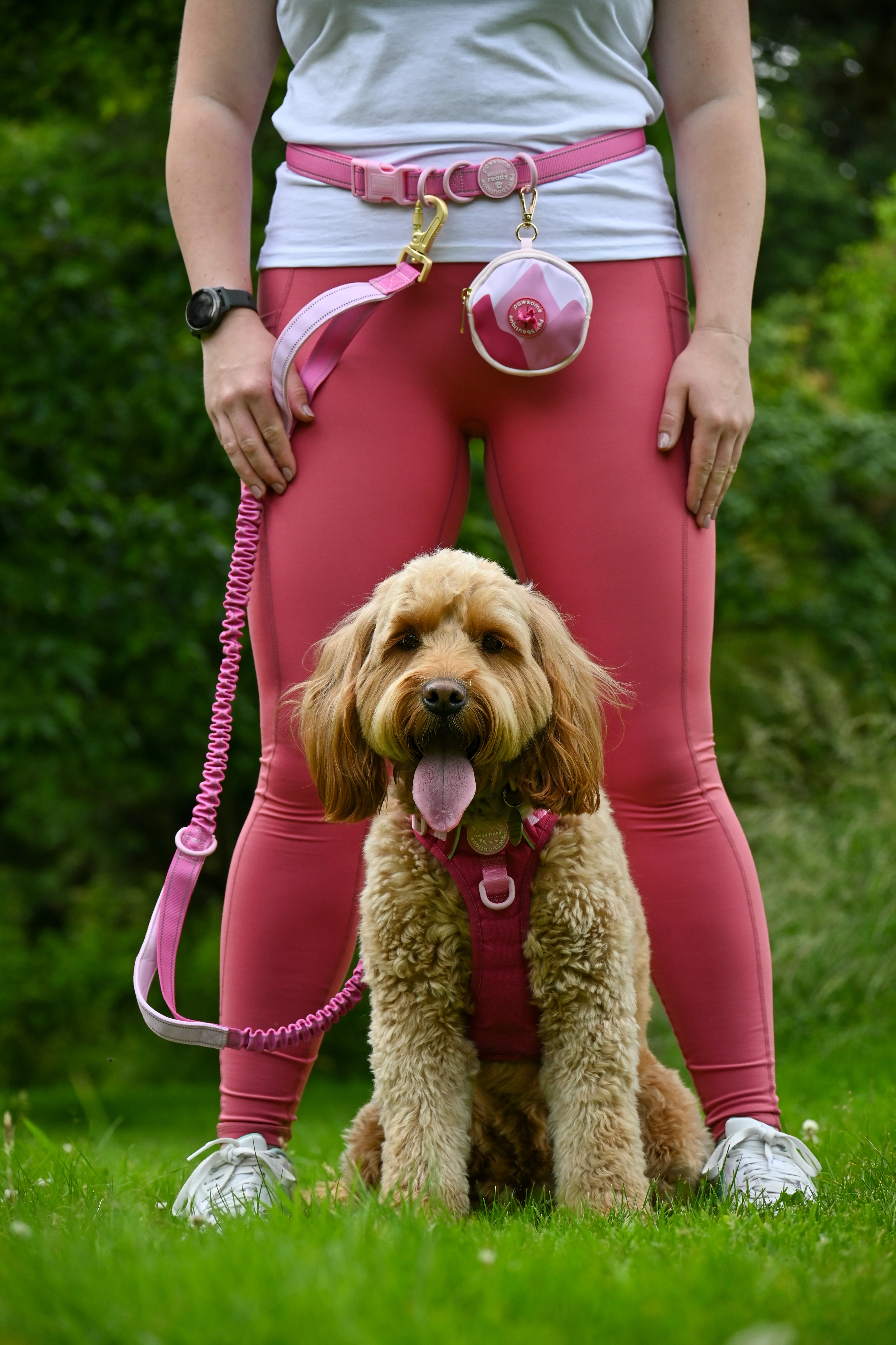 Handsfree Lead - Walkies Ready® Raspberry Pink - Image 4