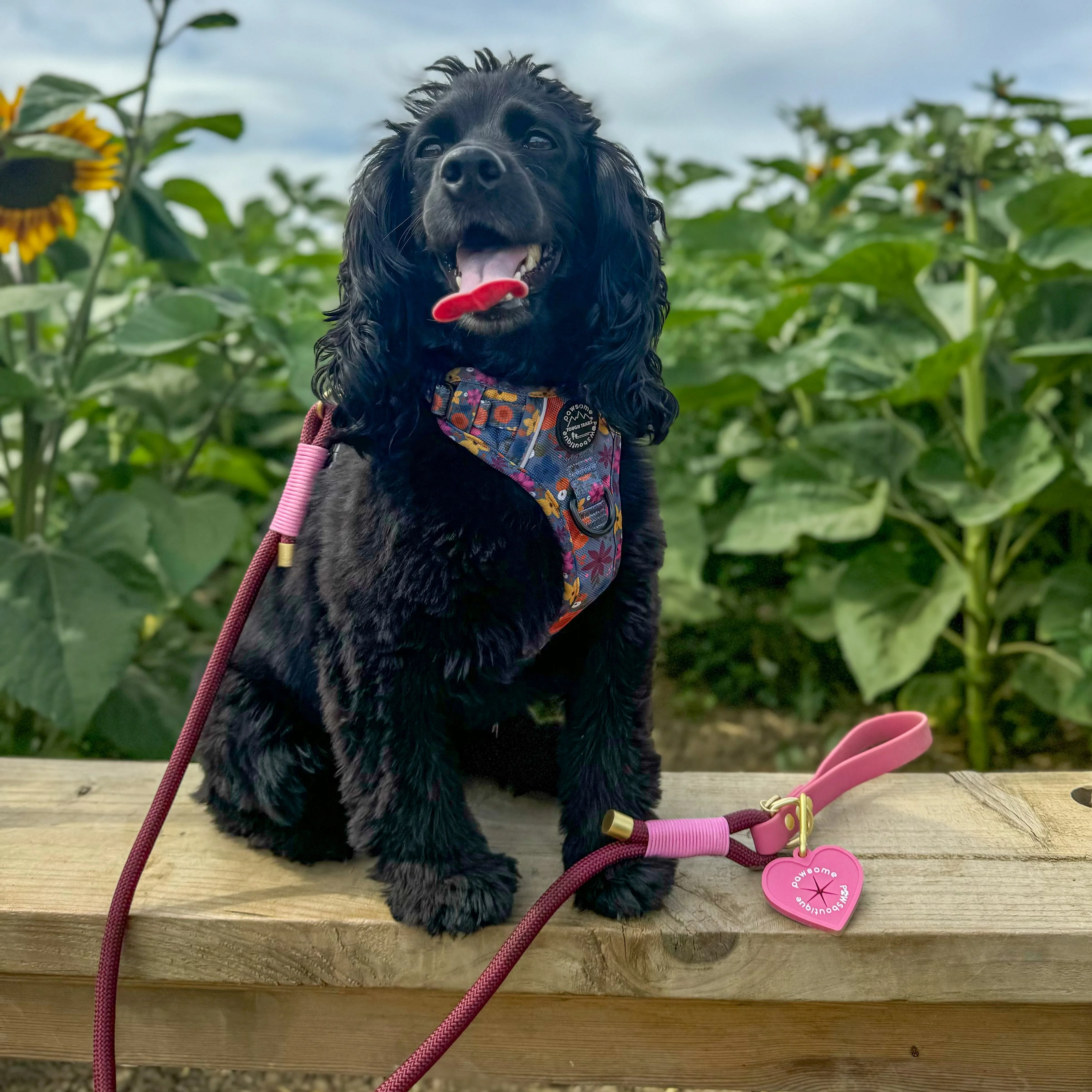 Pawsome Poop Pocket - Pretty Pink - Image 4