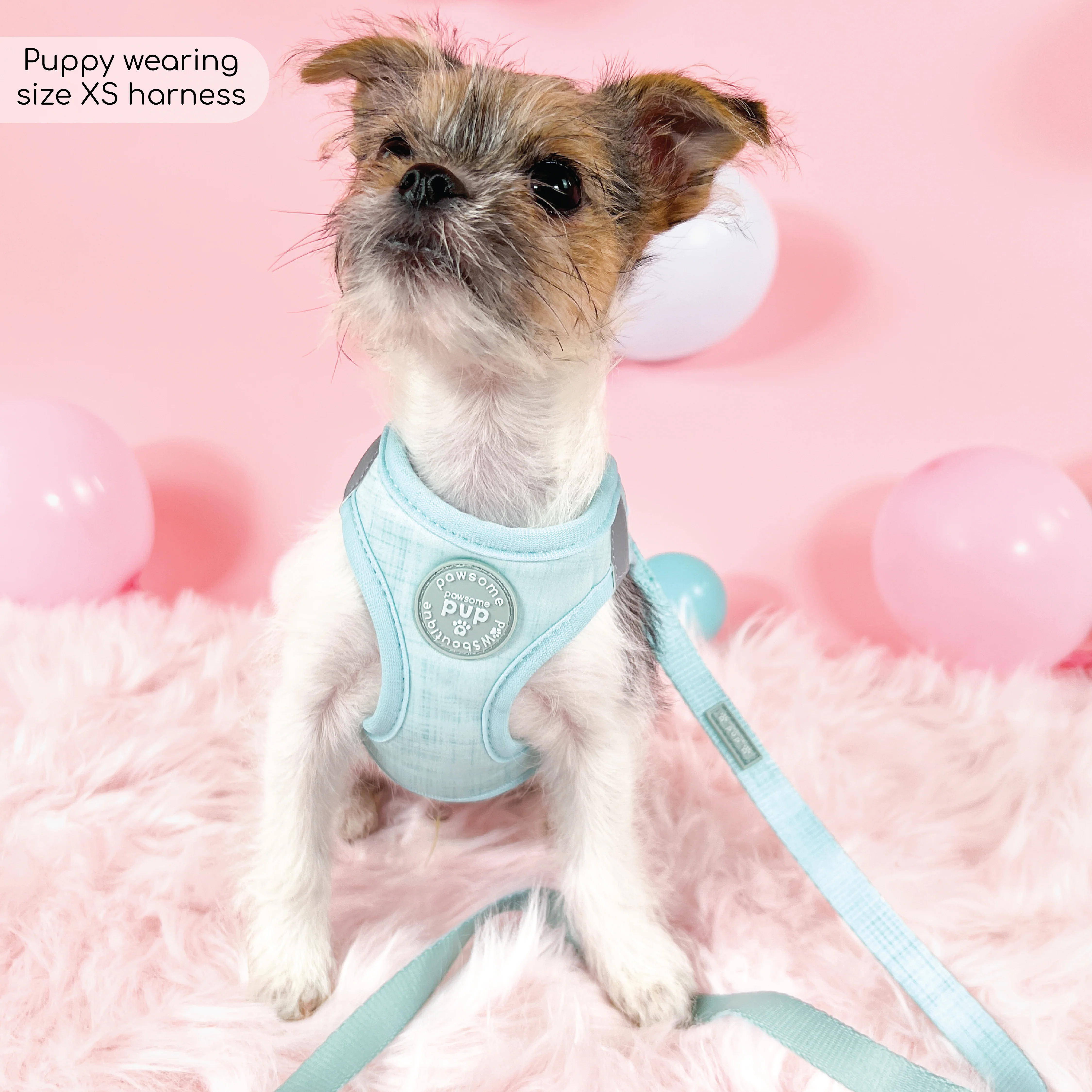 Pawsome Pup Collar and Lead Set - Mint - Image 6