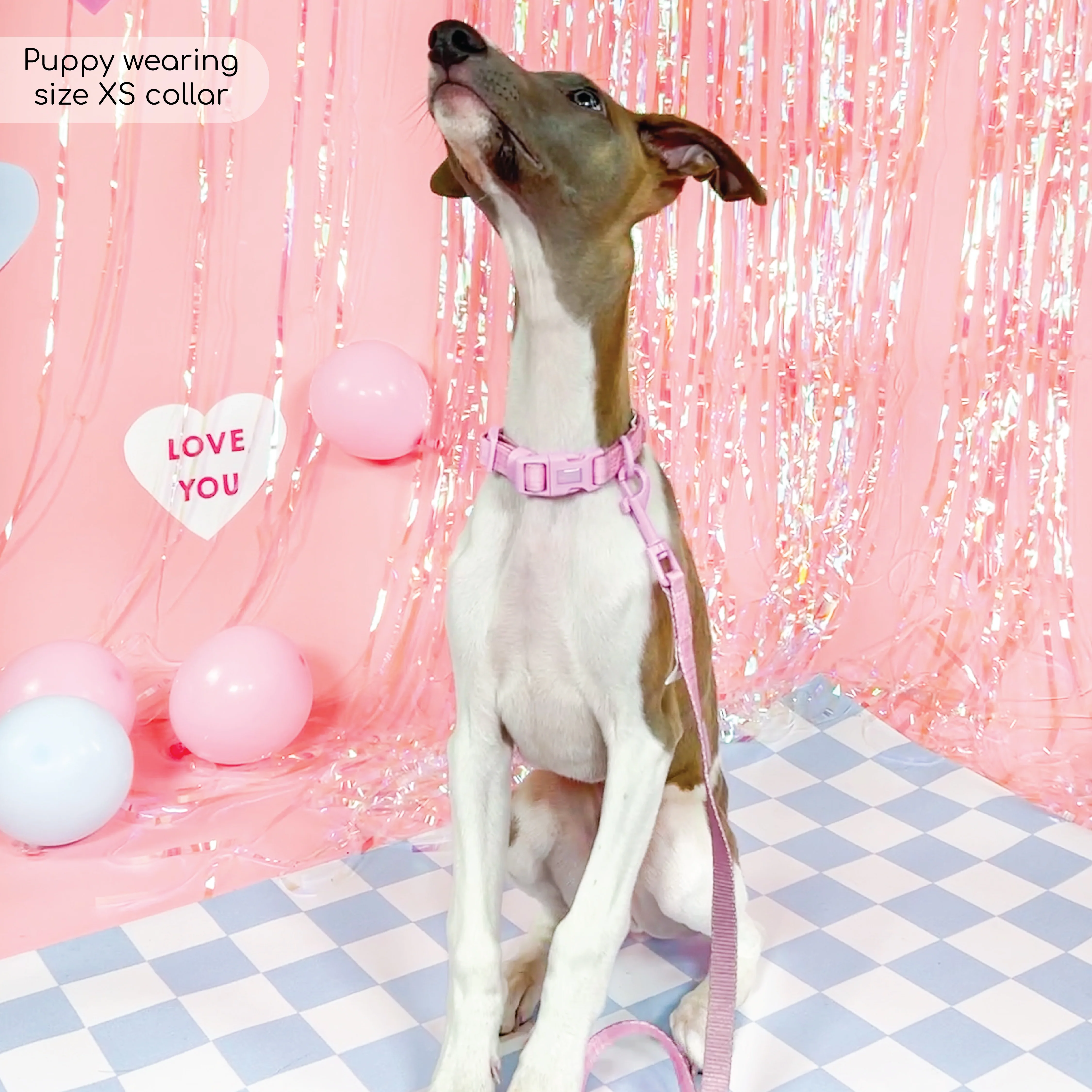 Pawsome Pup Collar and Lead Set - Pink - Image 6