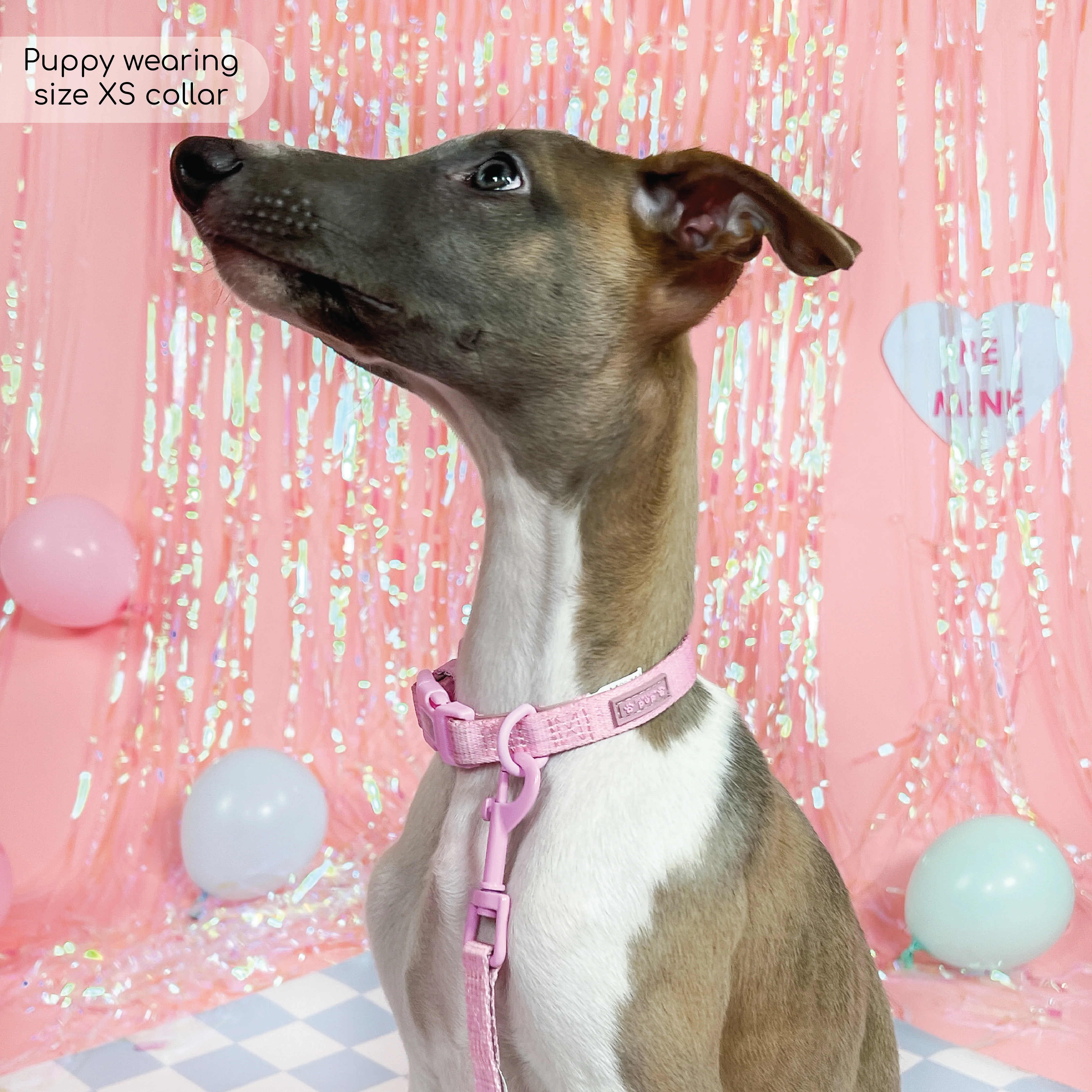 Pawsome Pup Collar and Lead Set - Pink - Image 7