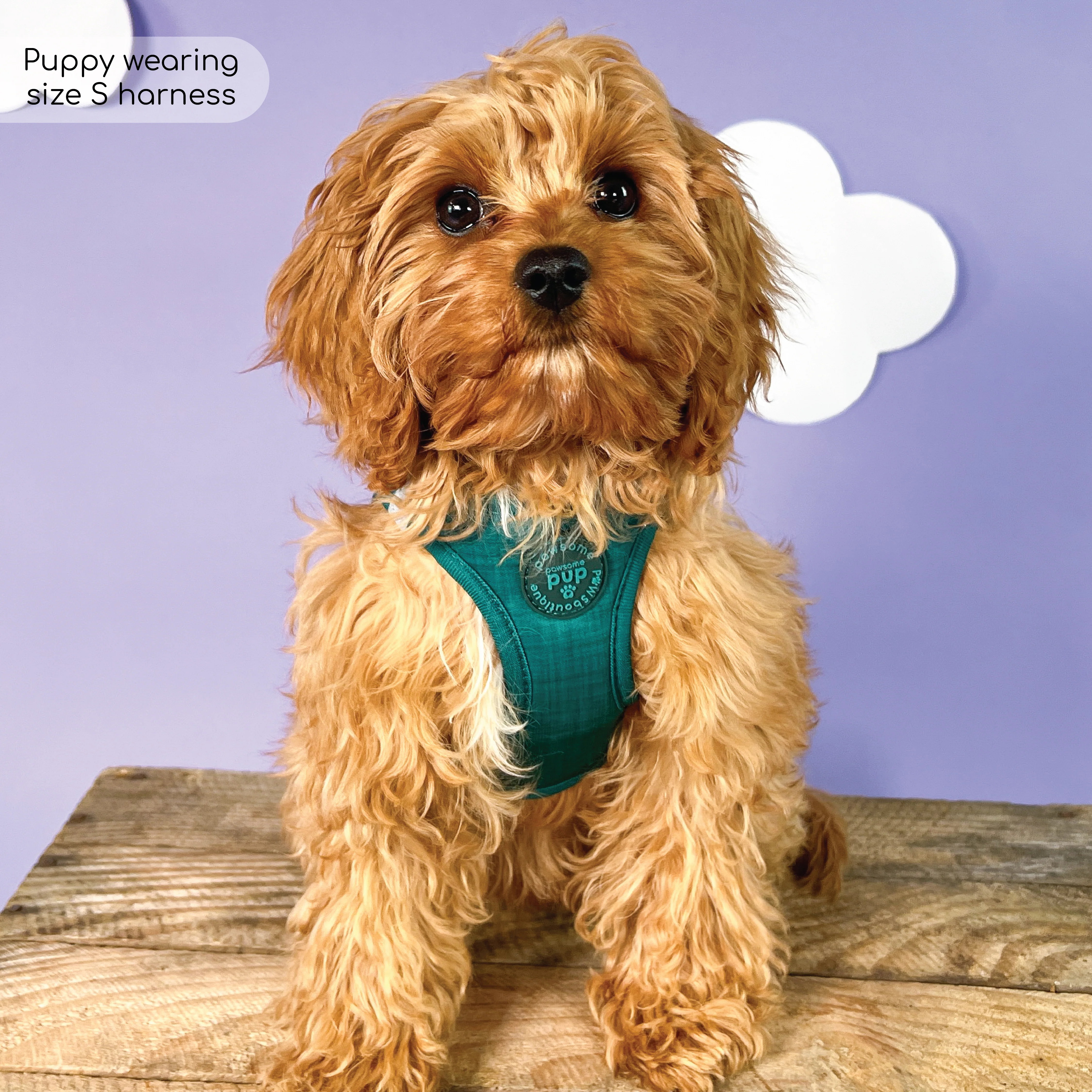 Pawsome Pup Harness - Emerald - Image 16