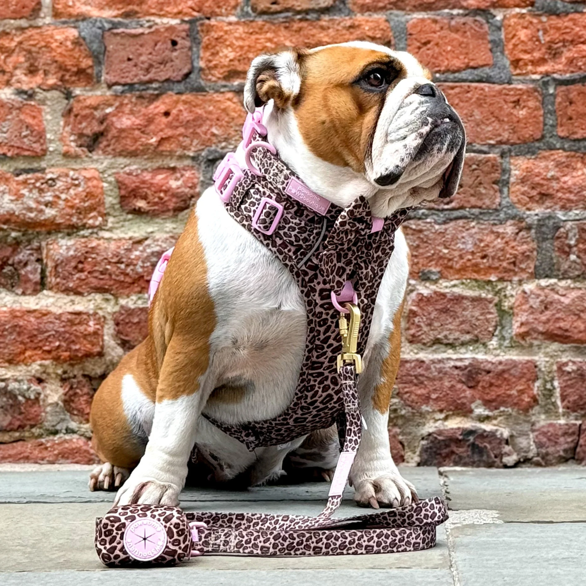 Poo Bag Holder - Leopard Print - Image 11