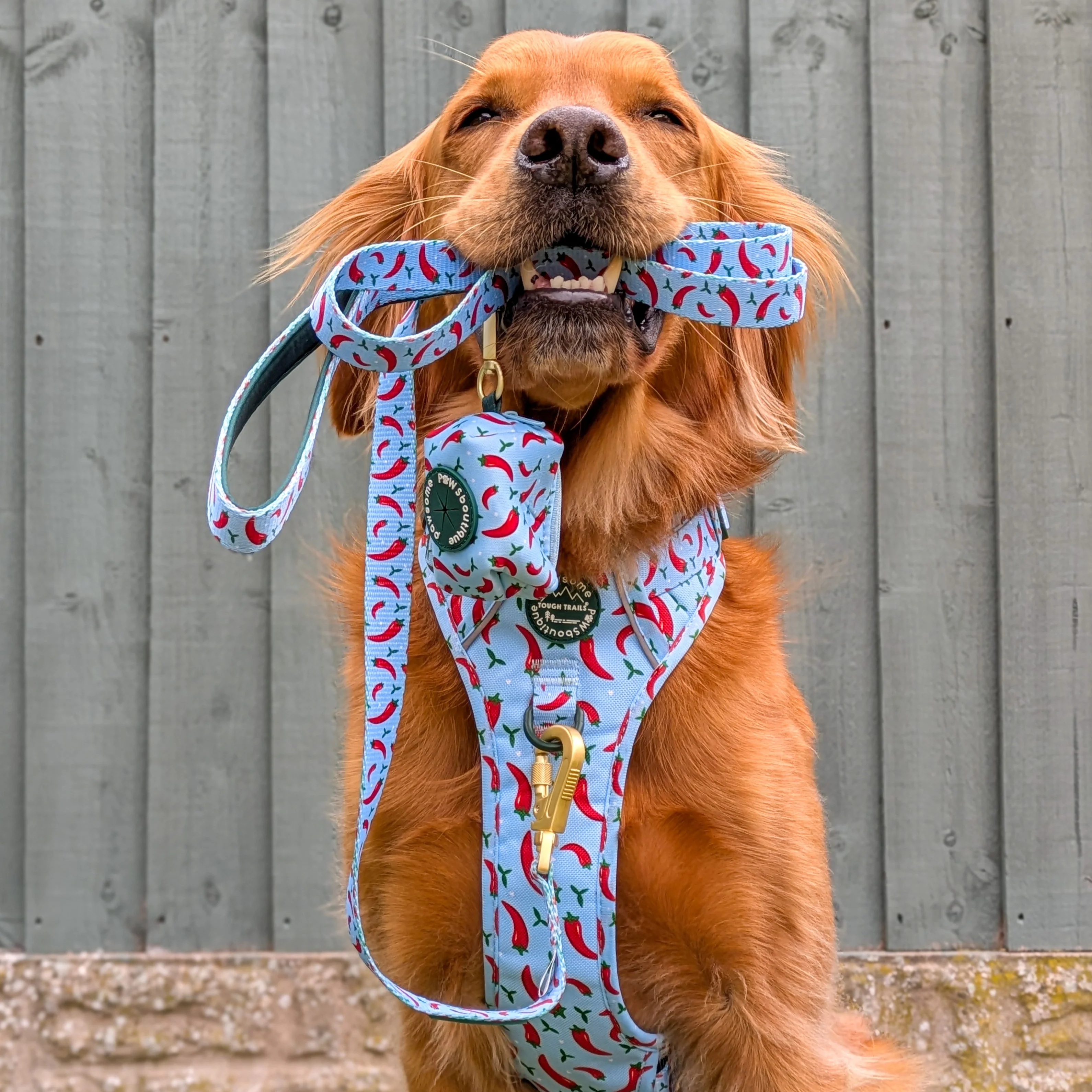 Poo Bag Holder - Stay Spicy - Image 8