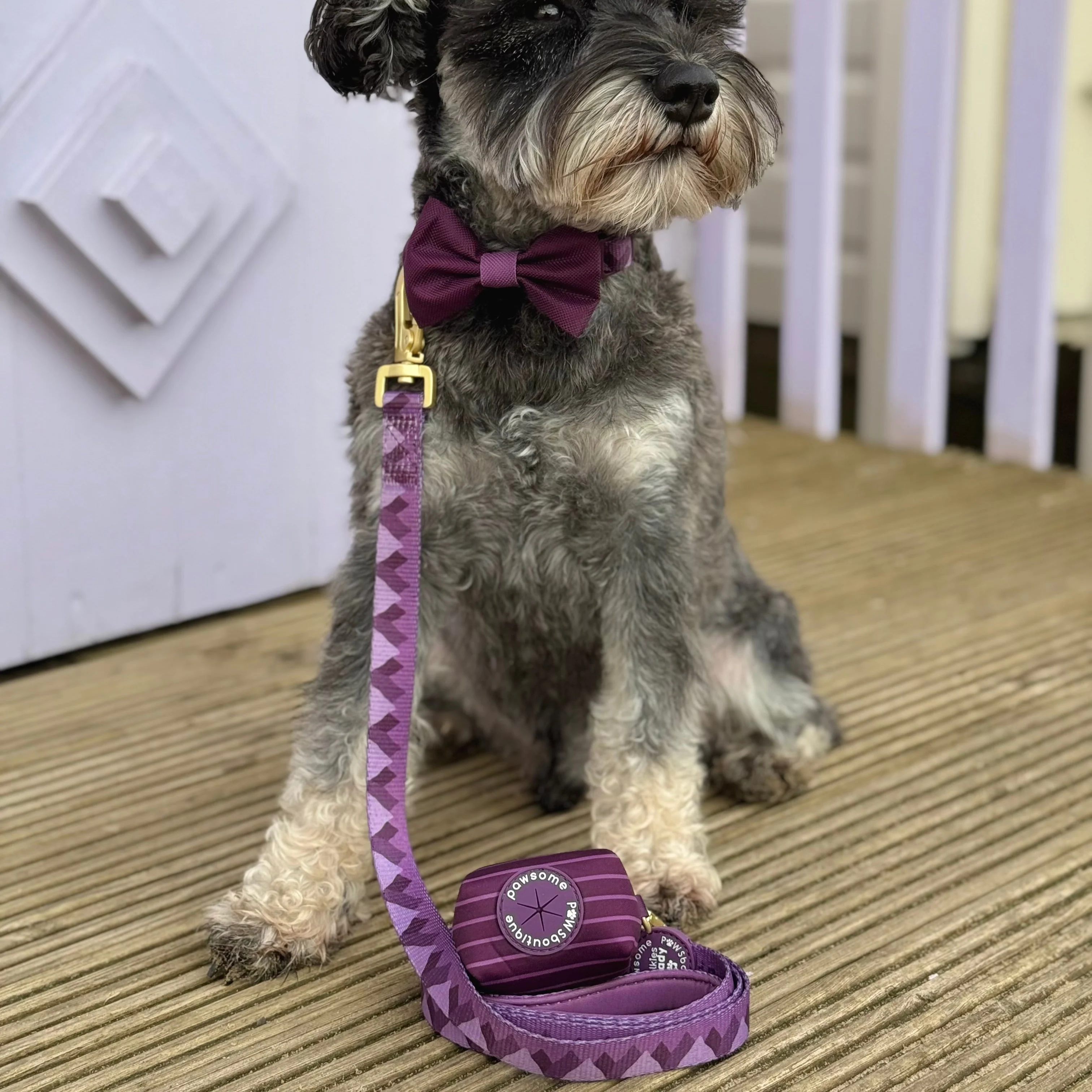 Poo Bag Holder - Walkies Ready® Plum - Image 6