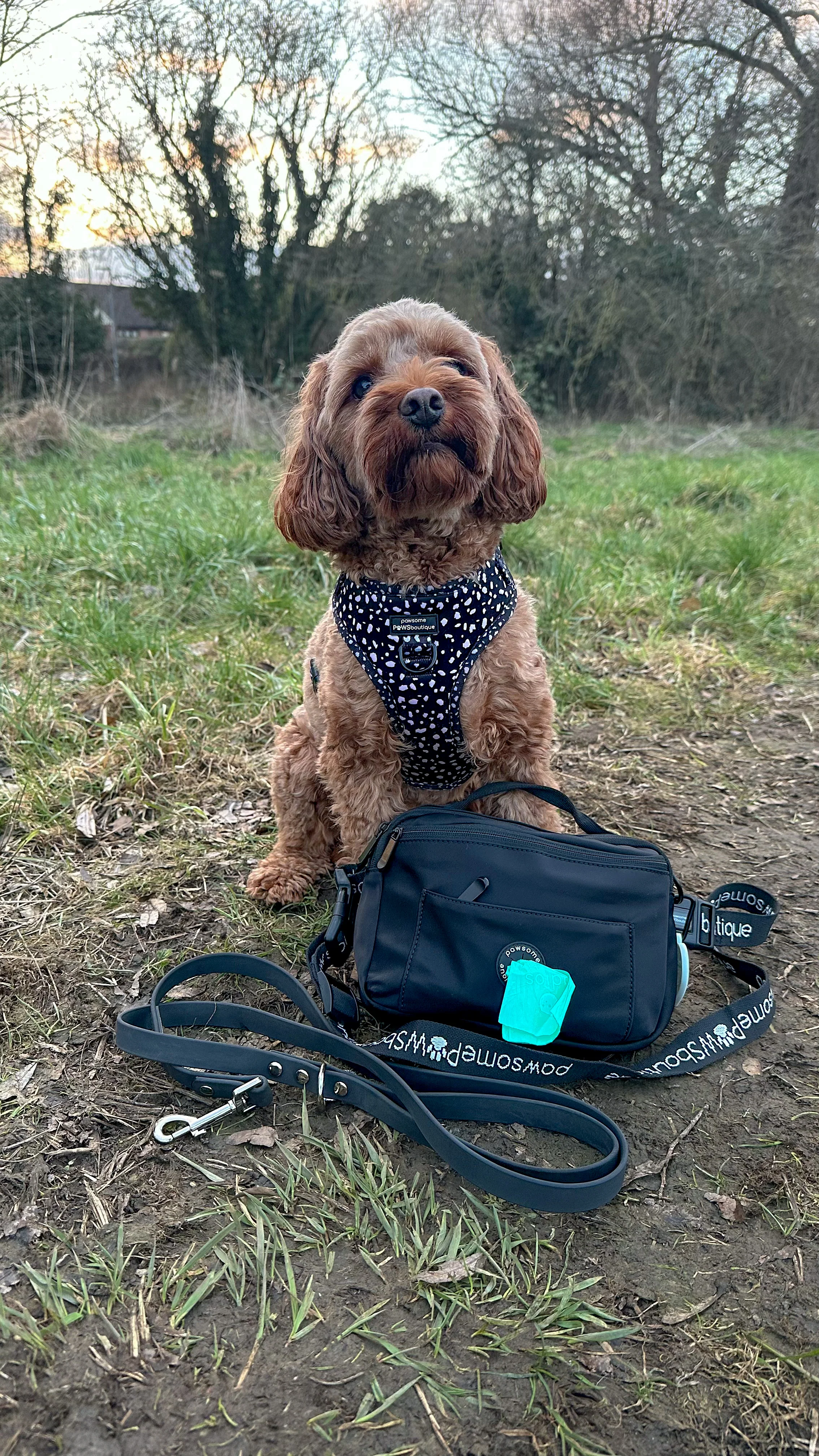 All In One Bumbag - Black - Image 36