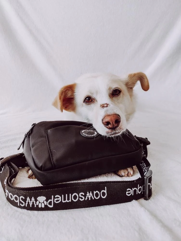 All In One Bumbag - Black - Image 4