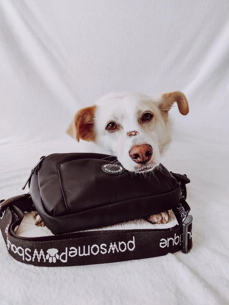 All In One Bumbag - Black (Reward) - Image 18