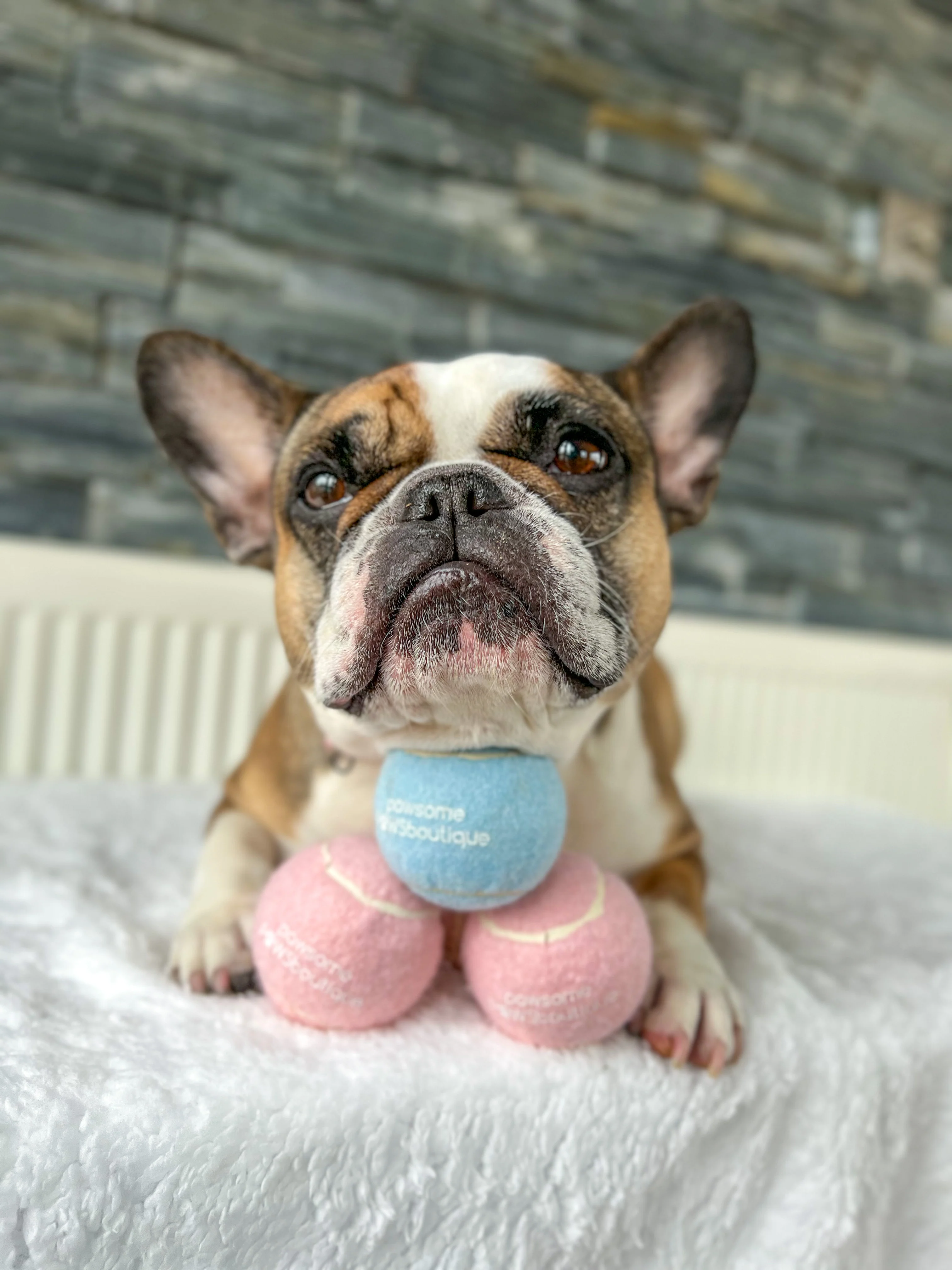 PPB Tennis Ball - Blue - Image 3