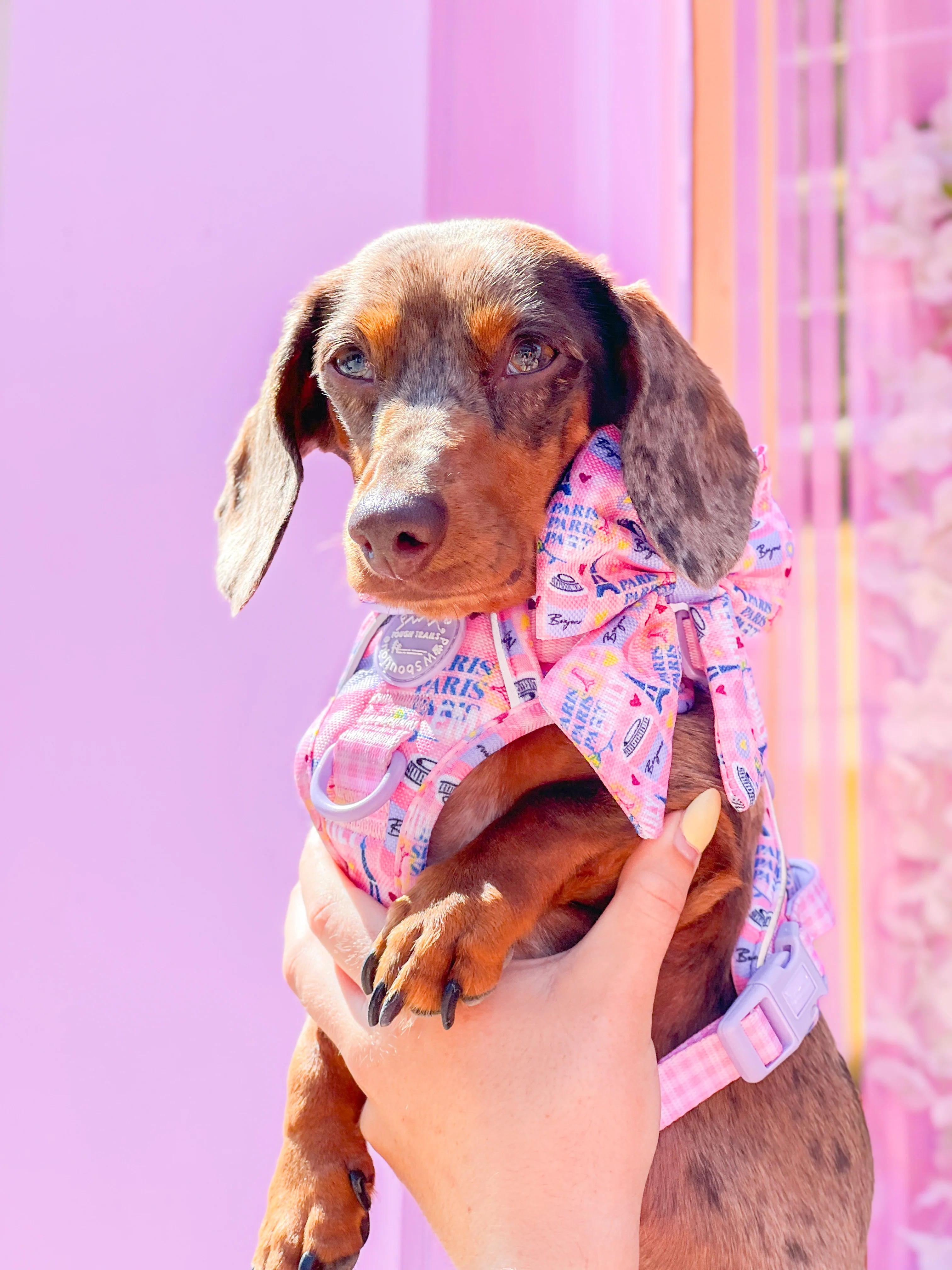 Sailor Bow Tie - Emily In Paris - Image 3