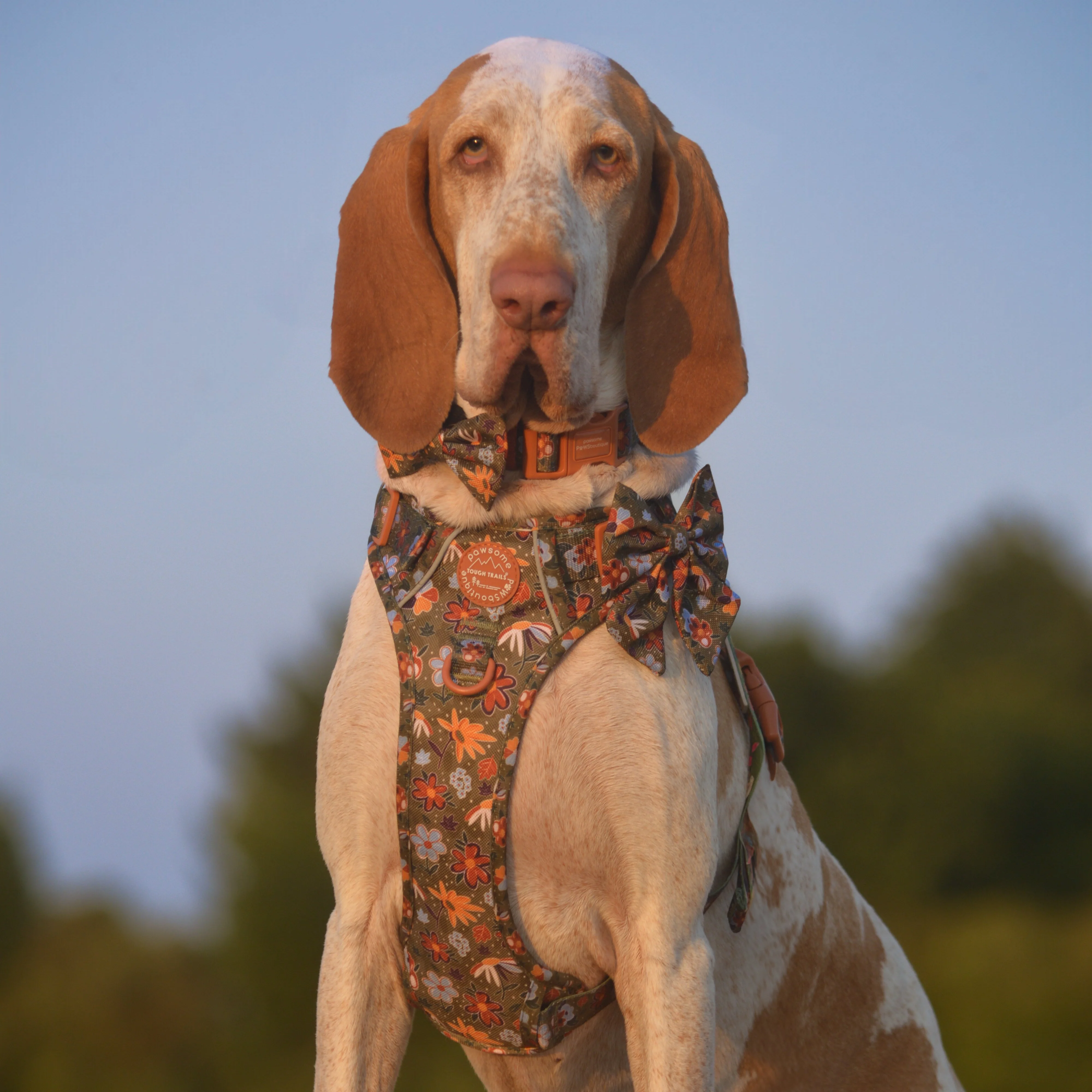 Sailor Bow - Rust & Bloom - Image 11