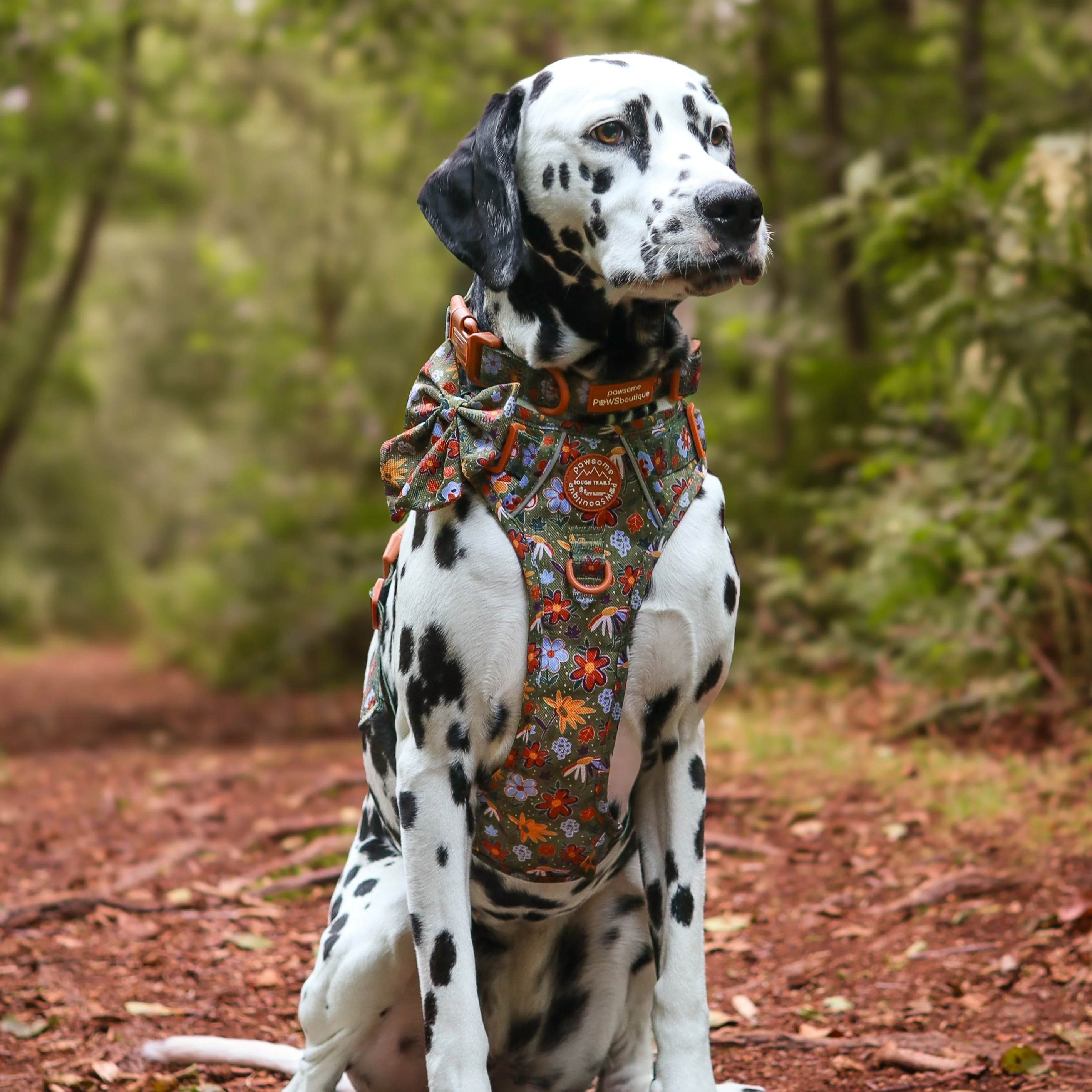 Sailor Bow - Rust & Bloom - Image 12