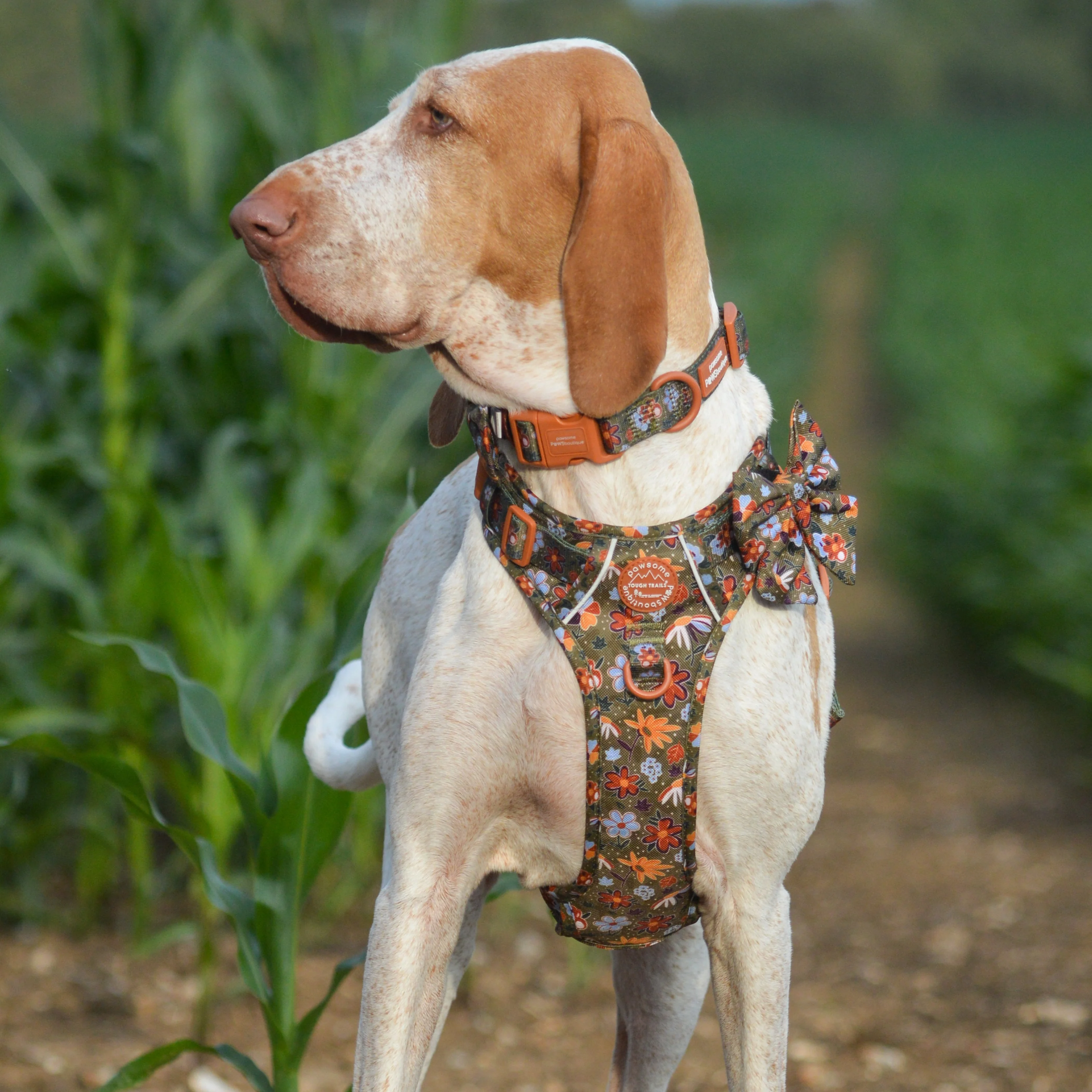 Sailor Bow - Rust & Bloom - Image 6