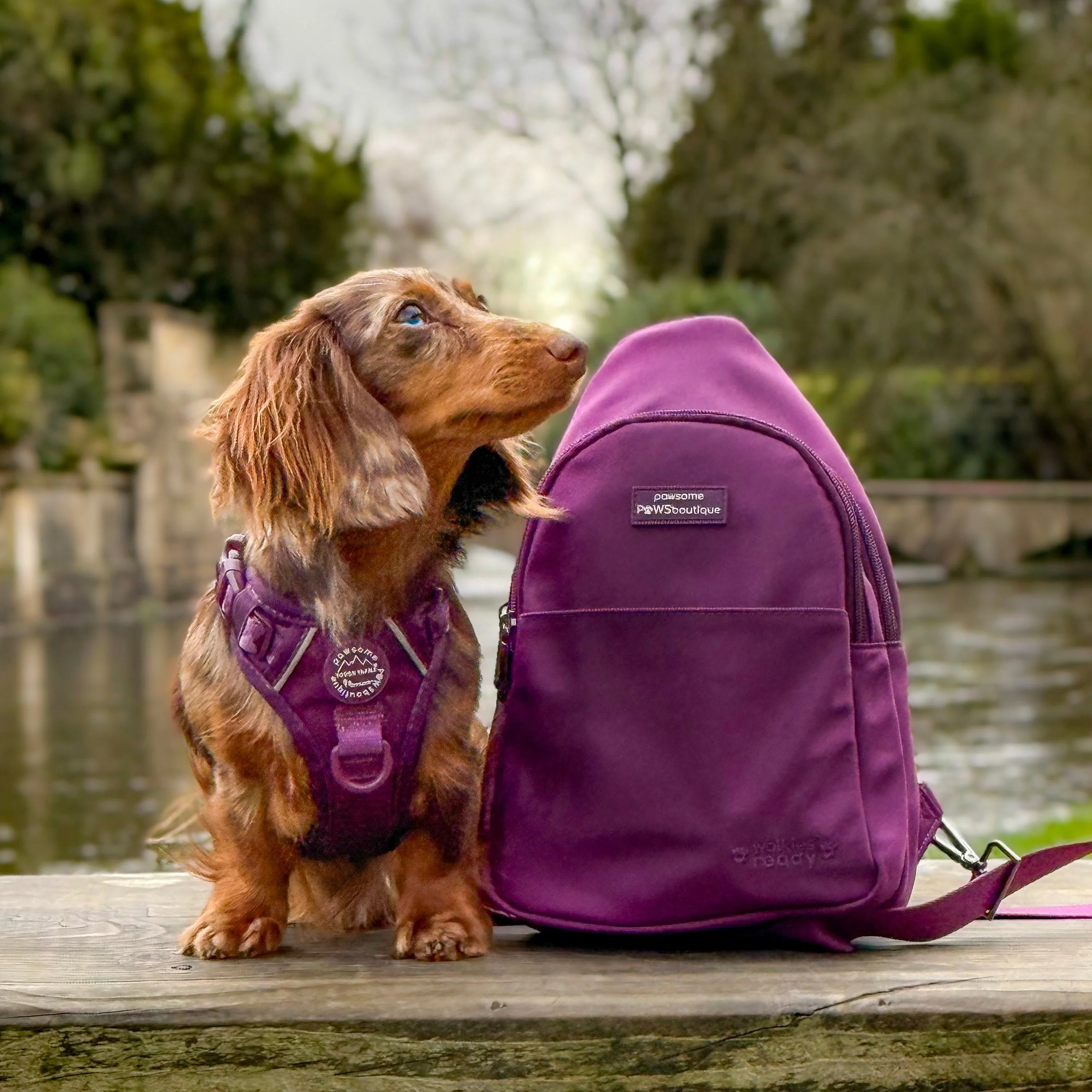 Sling Backpack - Walkies Ready® Plum - Image 21