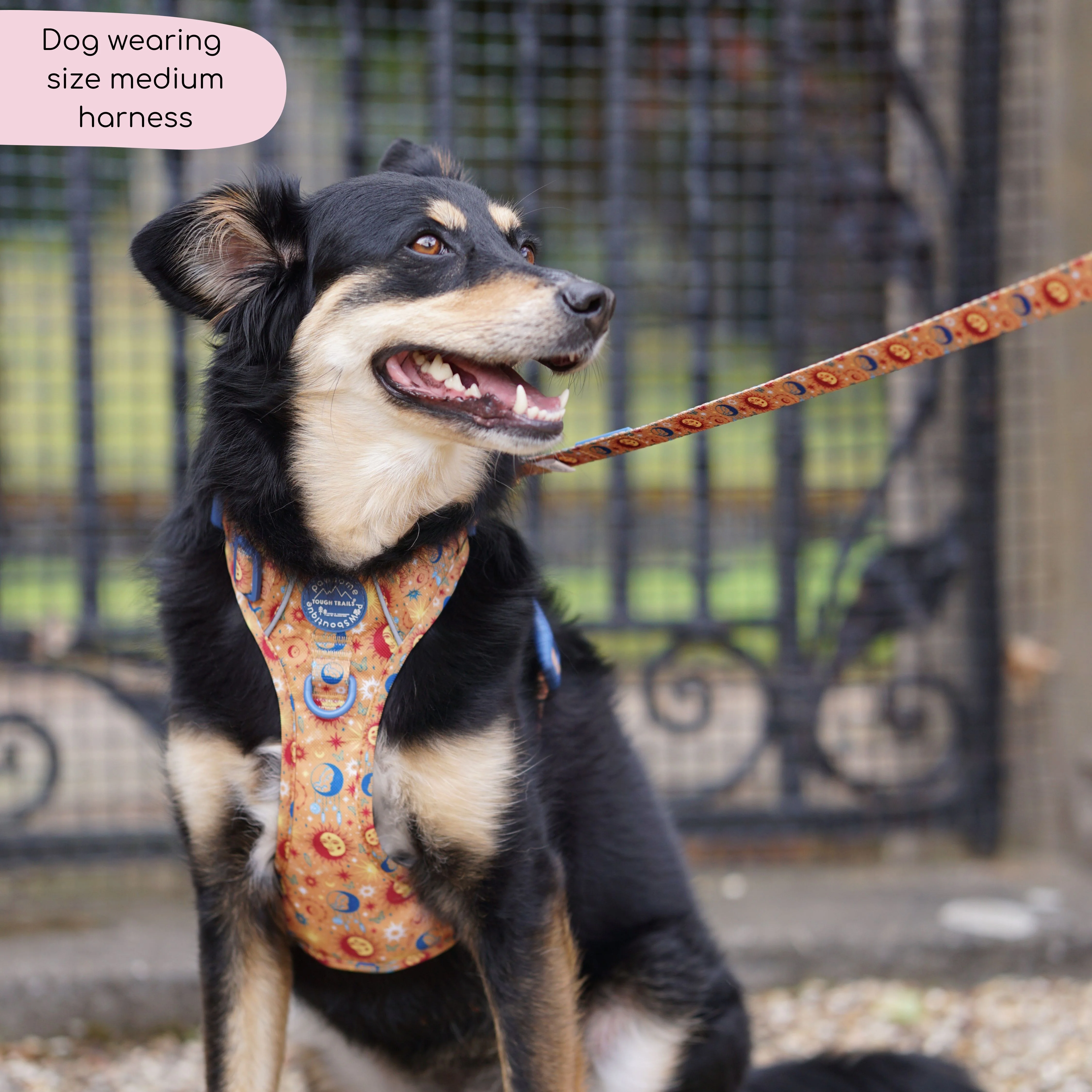 Tough Trails™ Harness - Celestial Spirit - Image 10