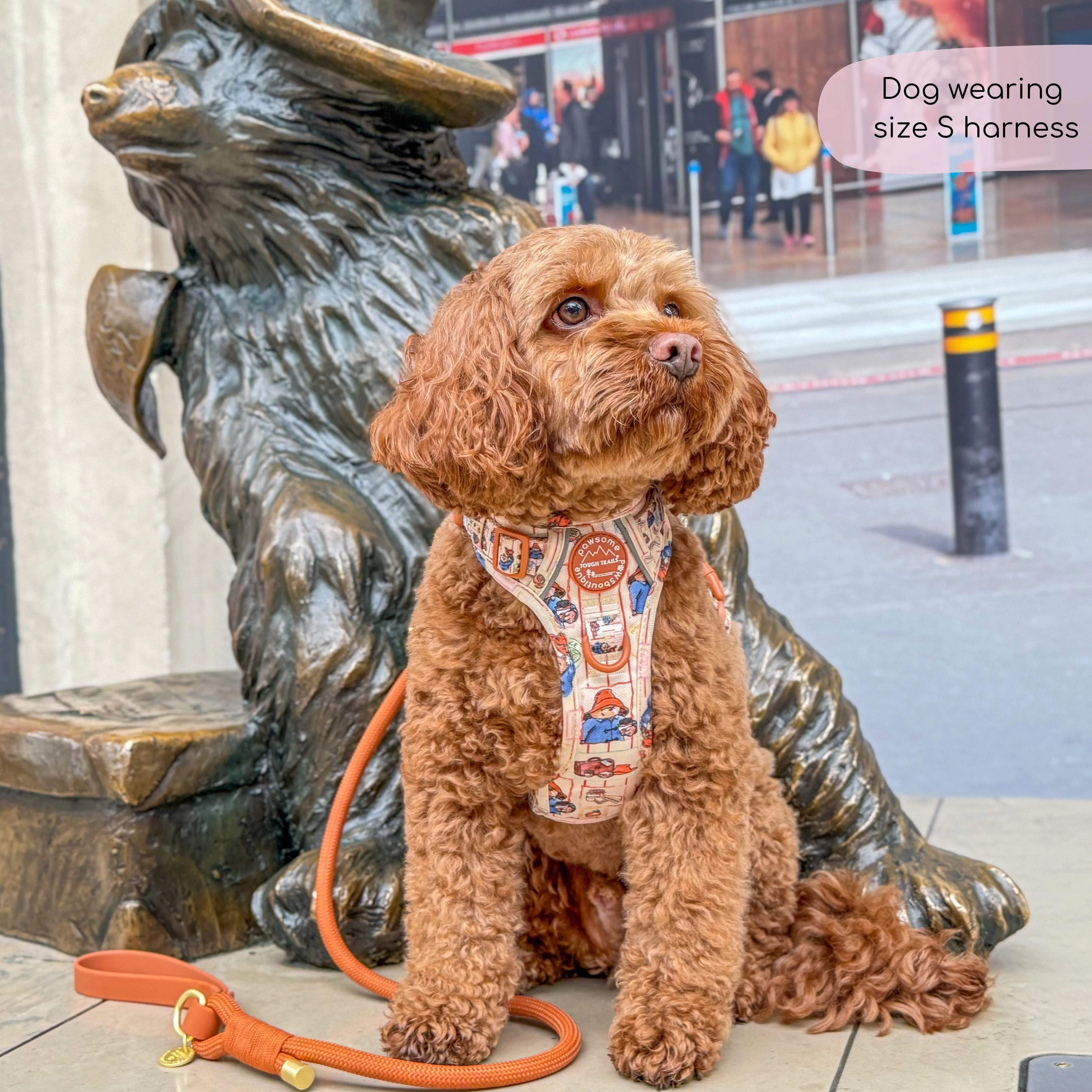 Paddington™ Tough Trails™ Harness - Peckish Paddington - Image 12