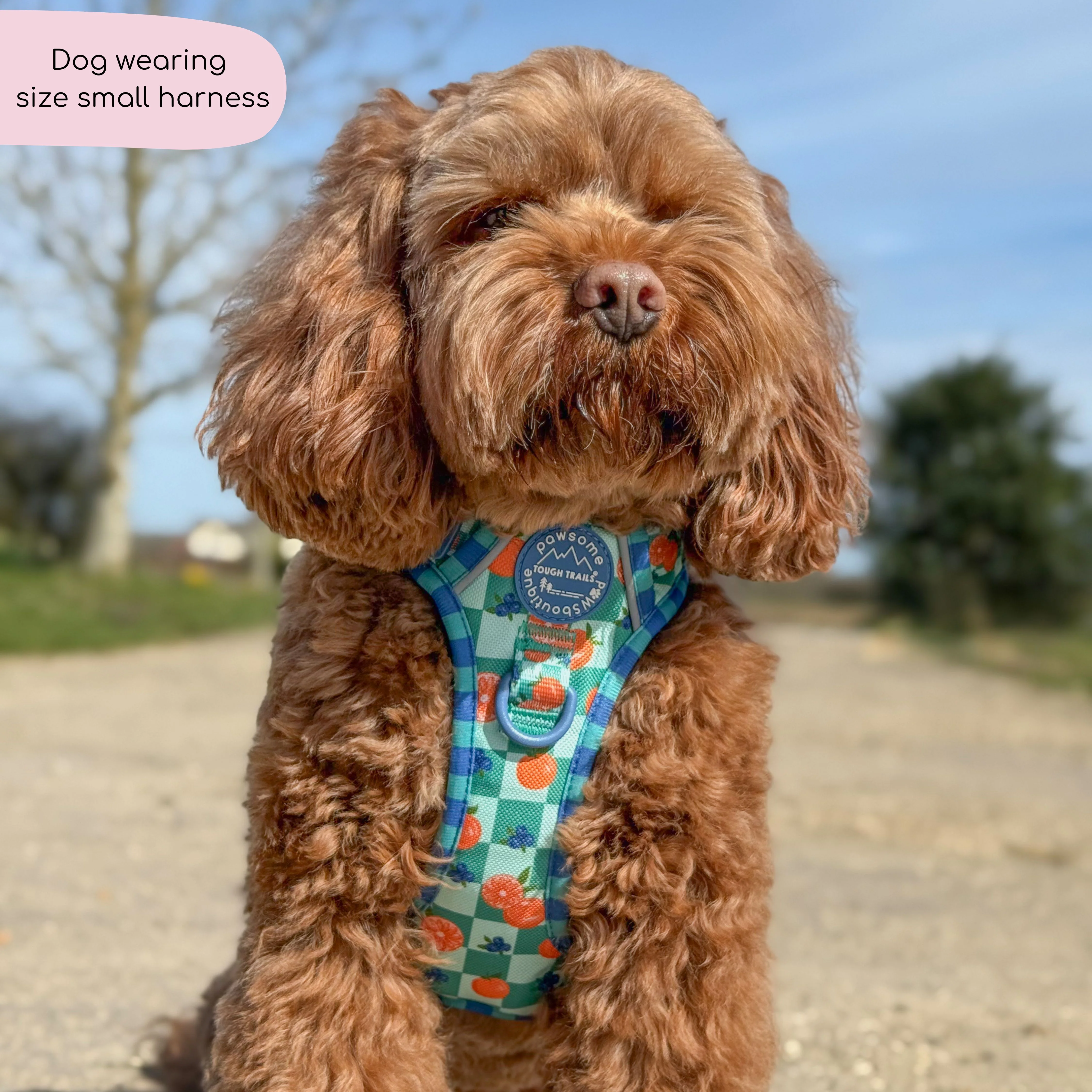 Tough Trails™ Harness - Fruit Punch - Image 11
