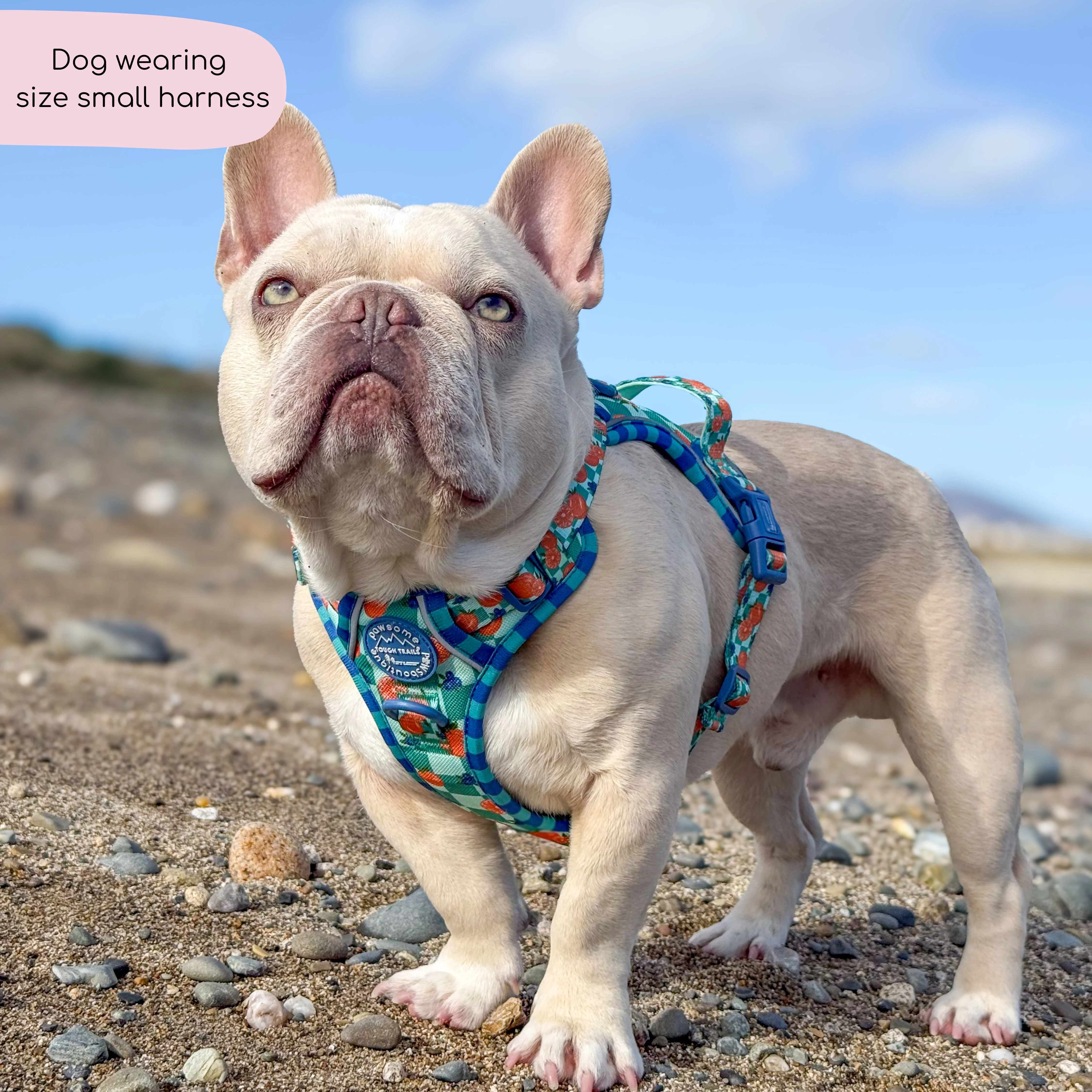 Tough Trails™ Harness - Fruit Punch - Image 12