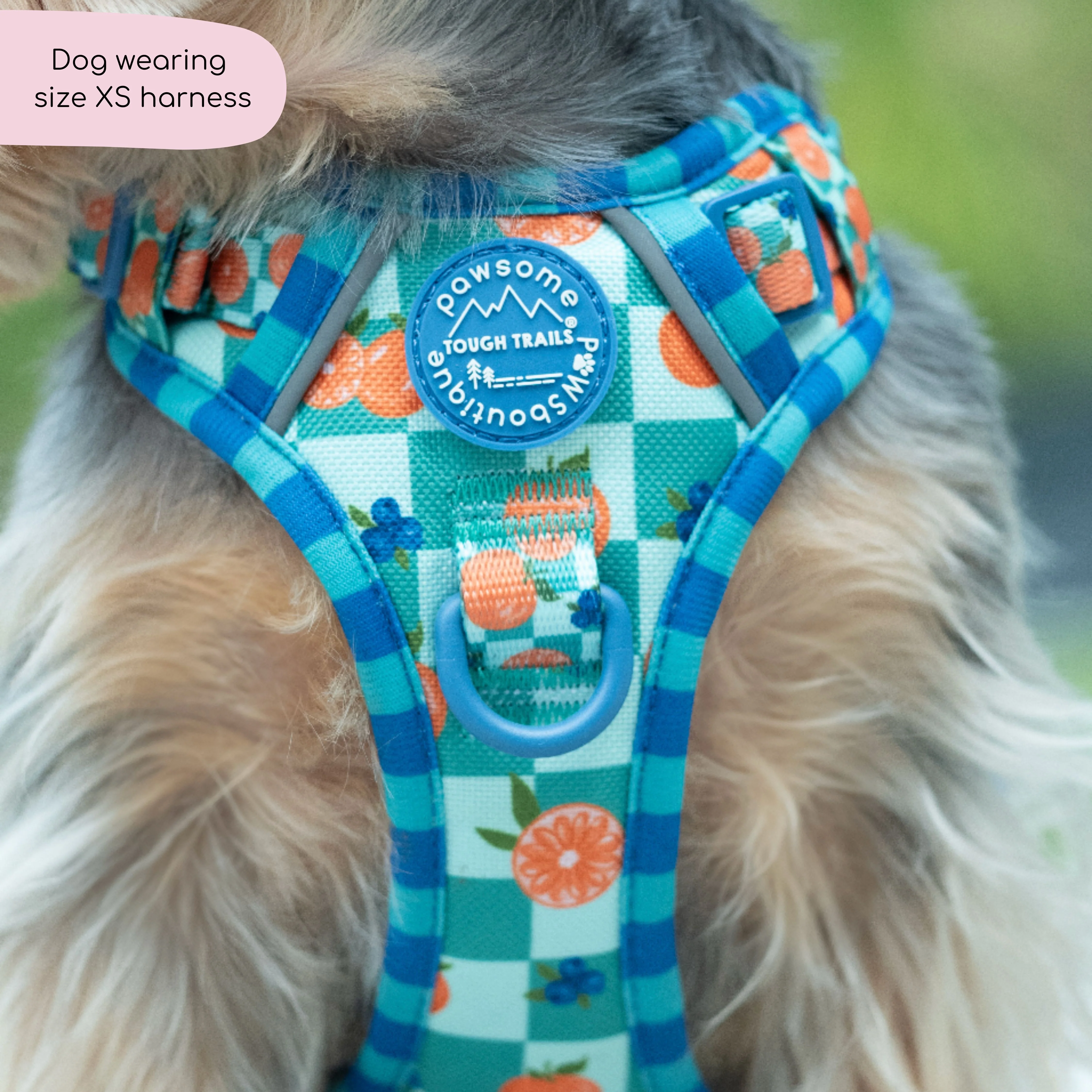 Tough Trails™ Harness - Fruit Punch - Image 13